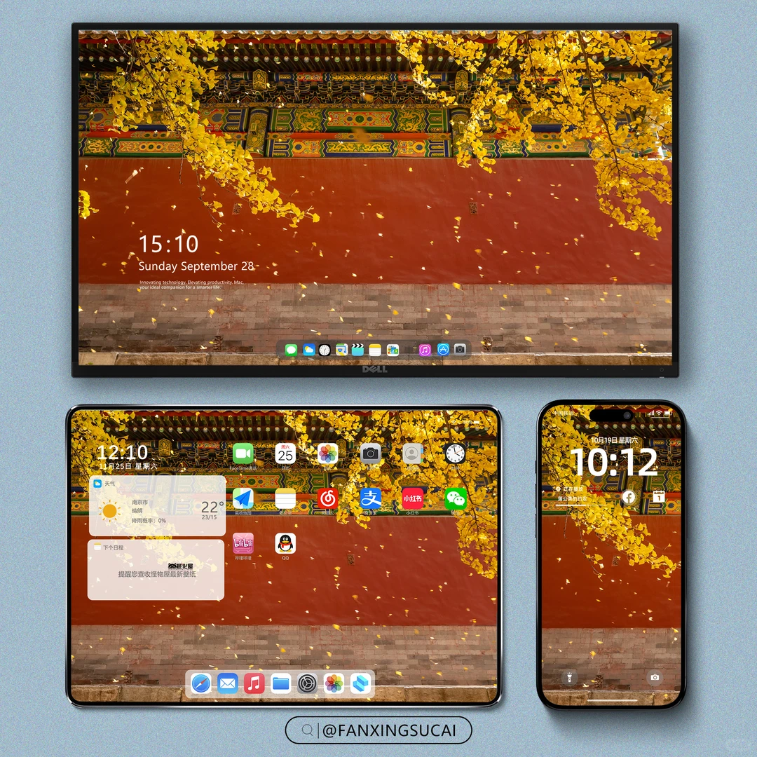 壁纸｜橘子色的秋天🍂，太美了！