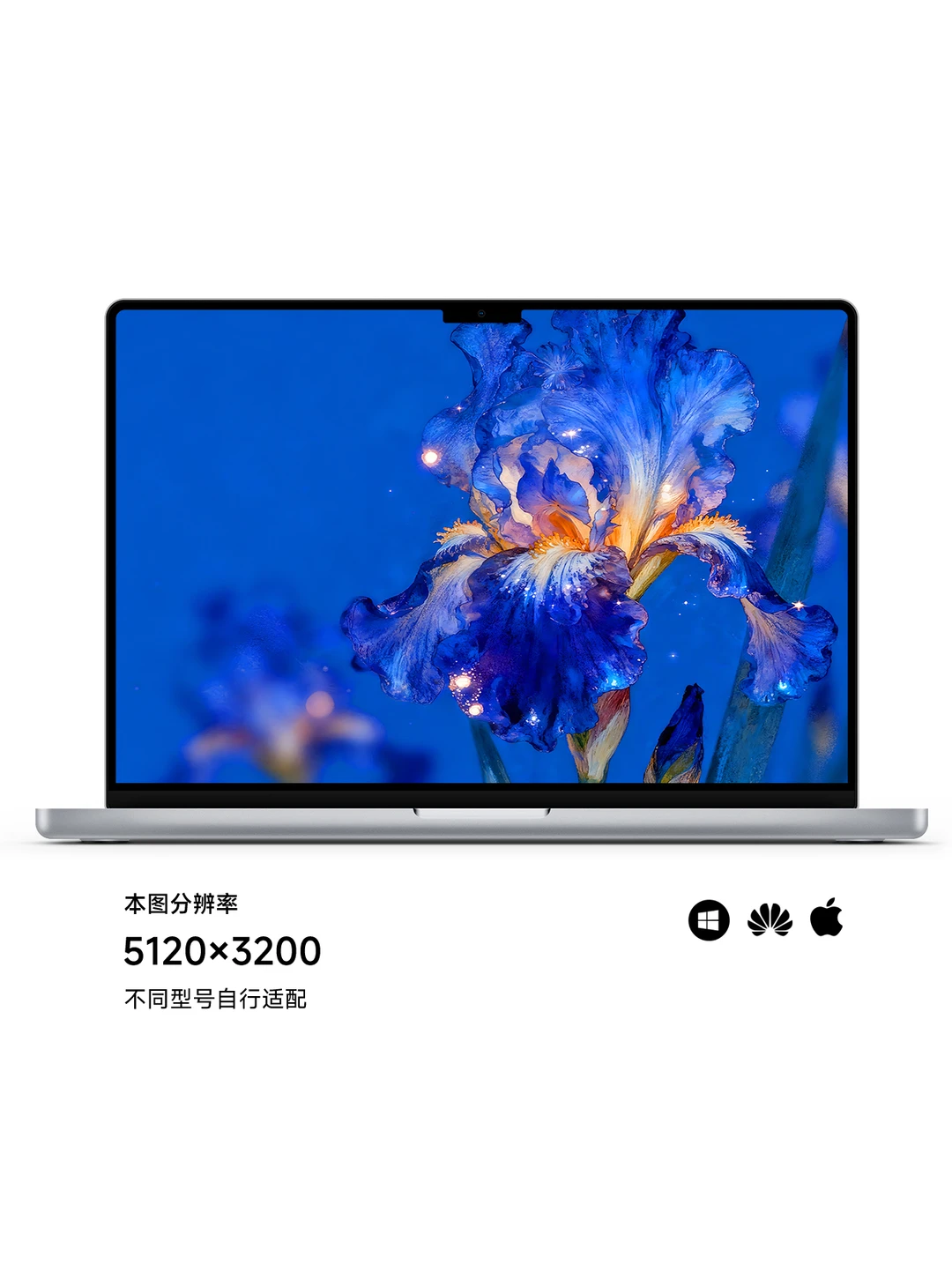 爱的使者鸢尾花｜ios26景深油画壁纸Z458