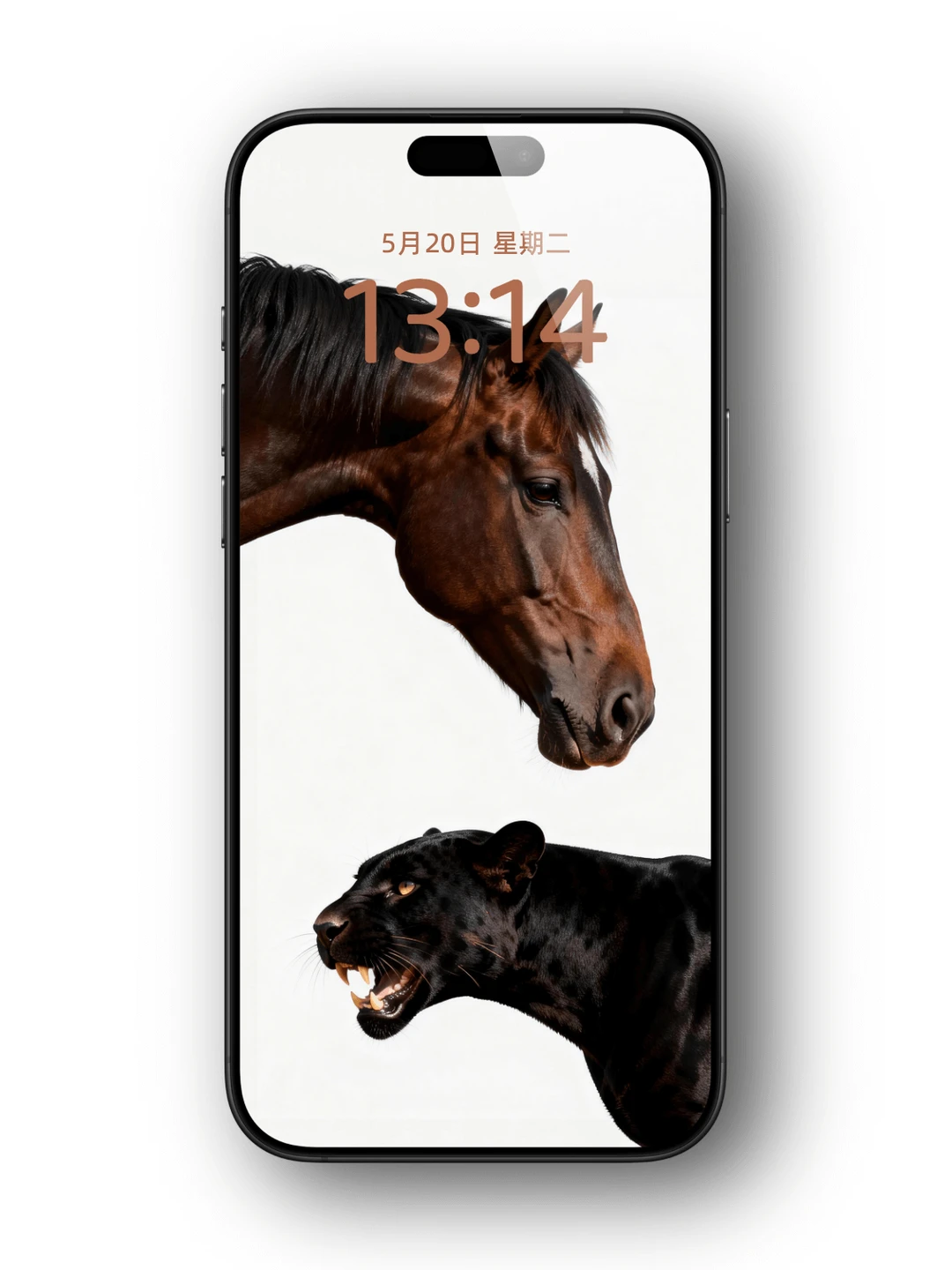 马上🐆富 马年限定高清壁纸