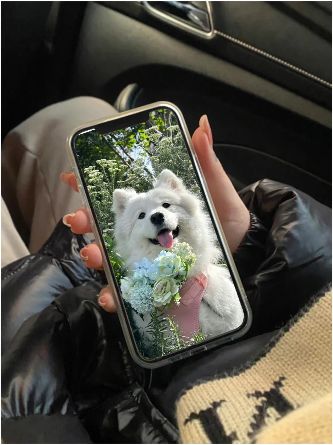 爱了，这个壁纸！谁懂！