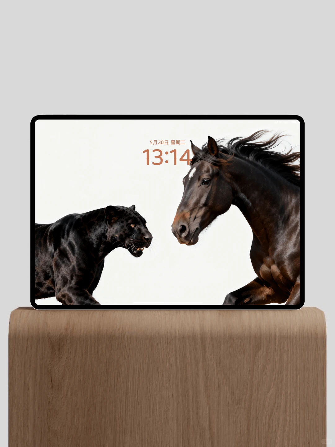 马上🐆富 马年限定高清壁纸