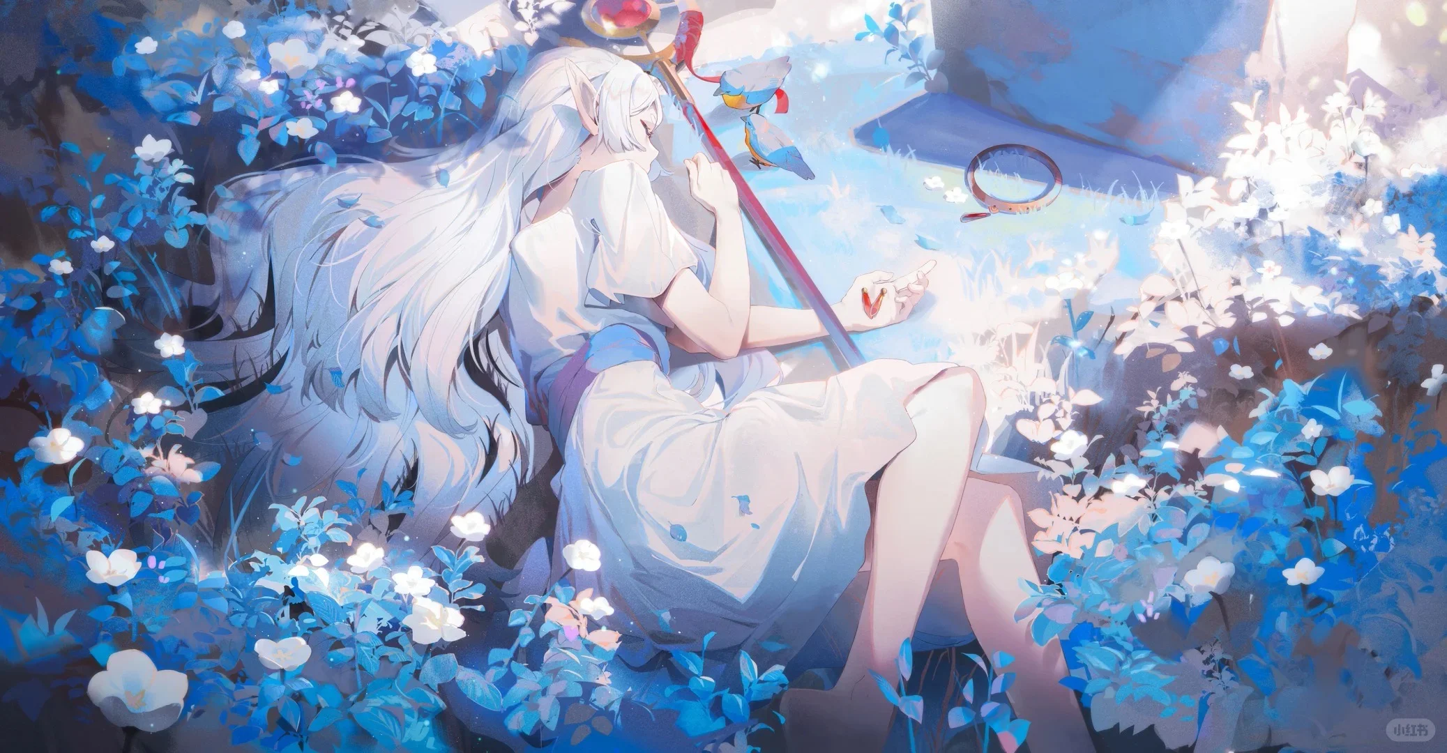 葬送的芙莉莲壁纸分享