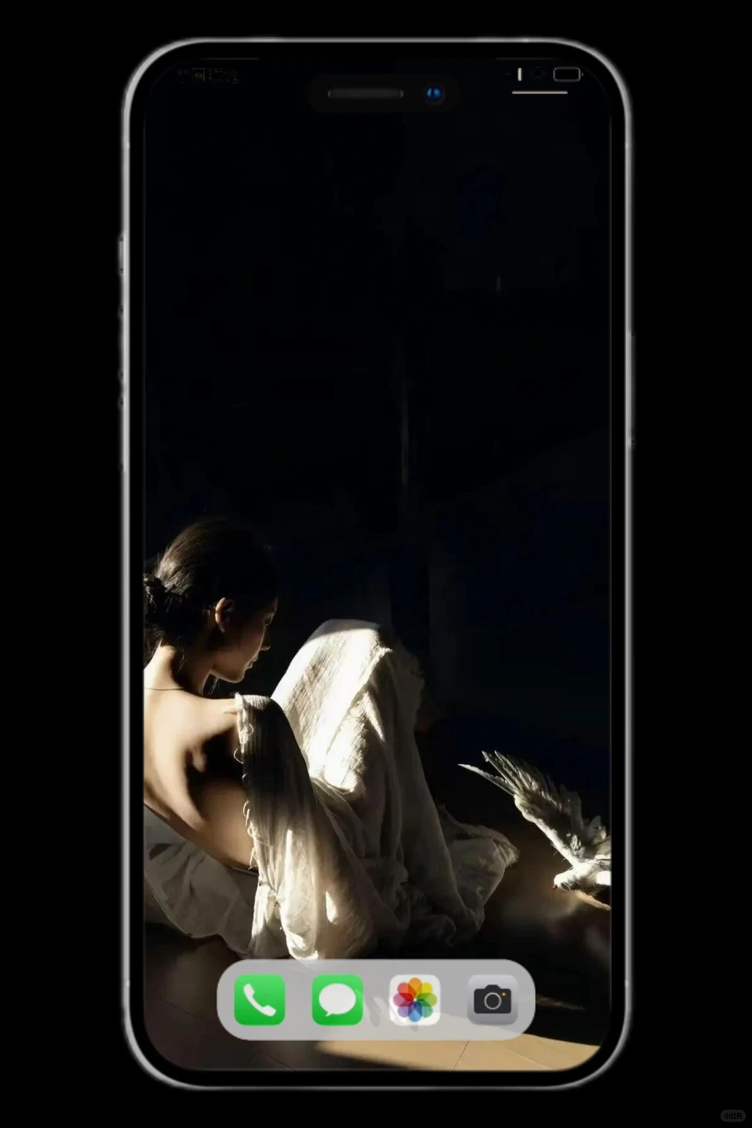 我爱的静物摄影壁纸来啦～