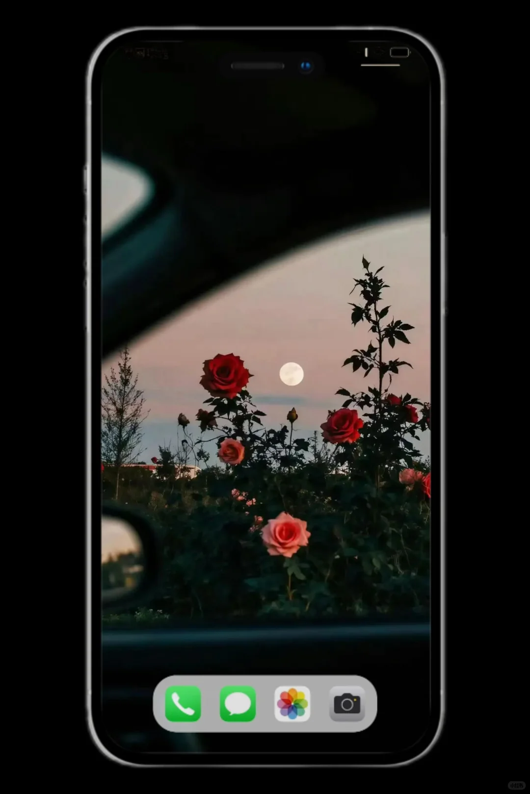 我爱的静物摄影壁纸来啦～