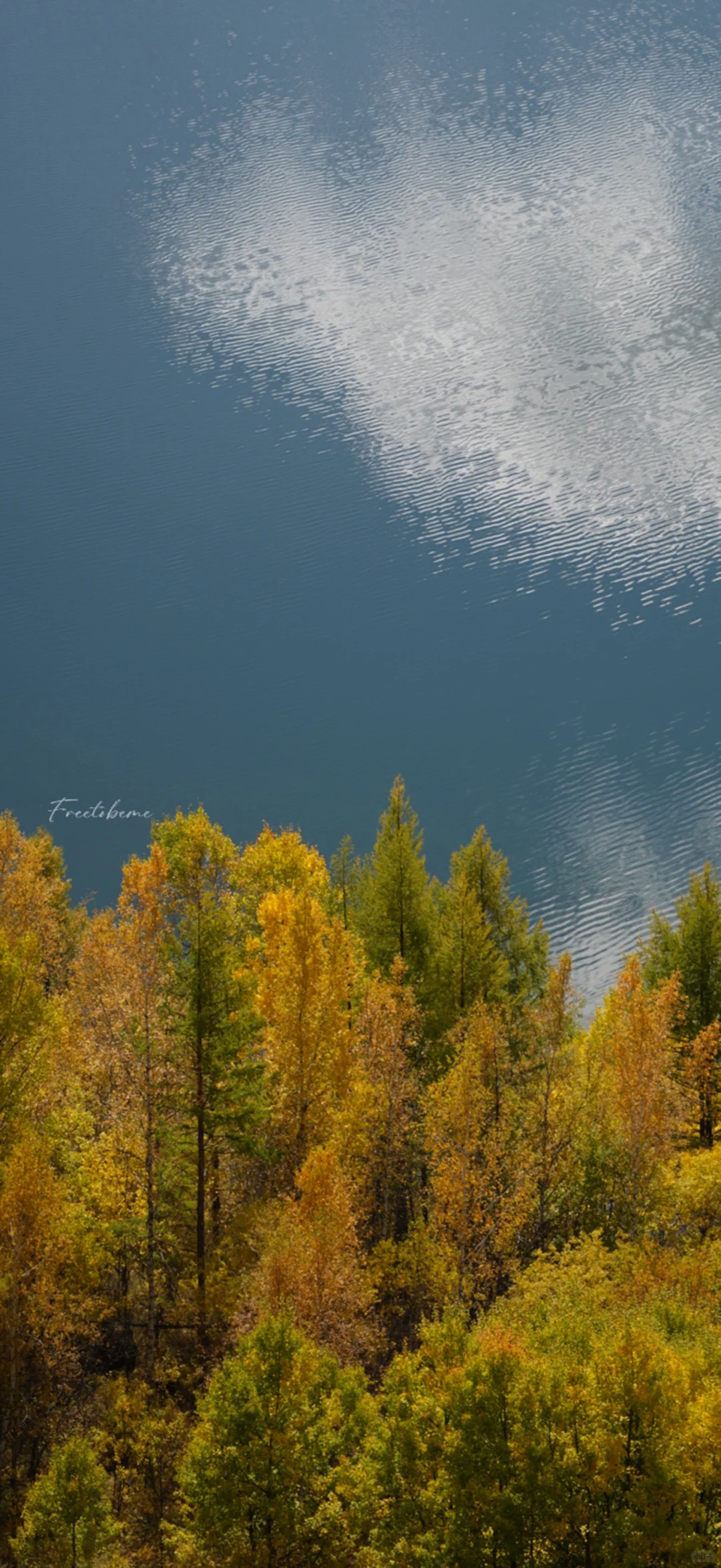 竖屏壁纸·风景～