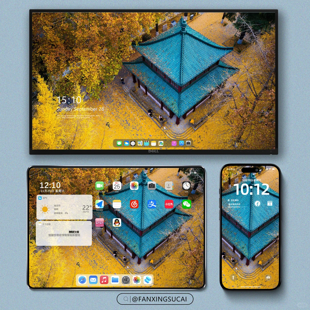 壁纸｜橘子色的秋天🍂，太美了！