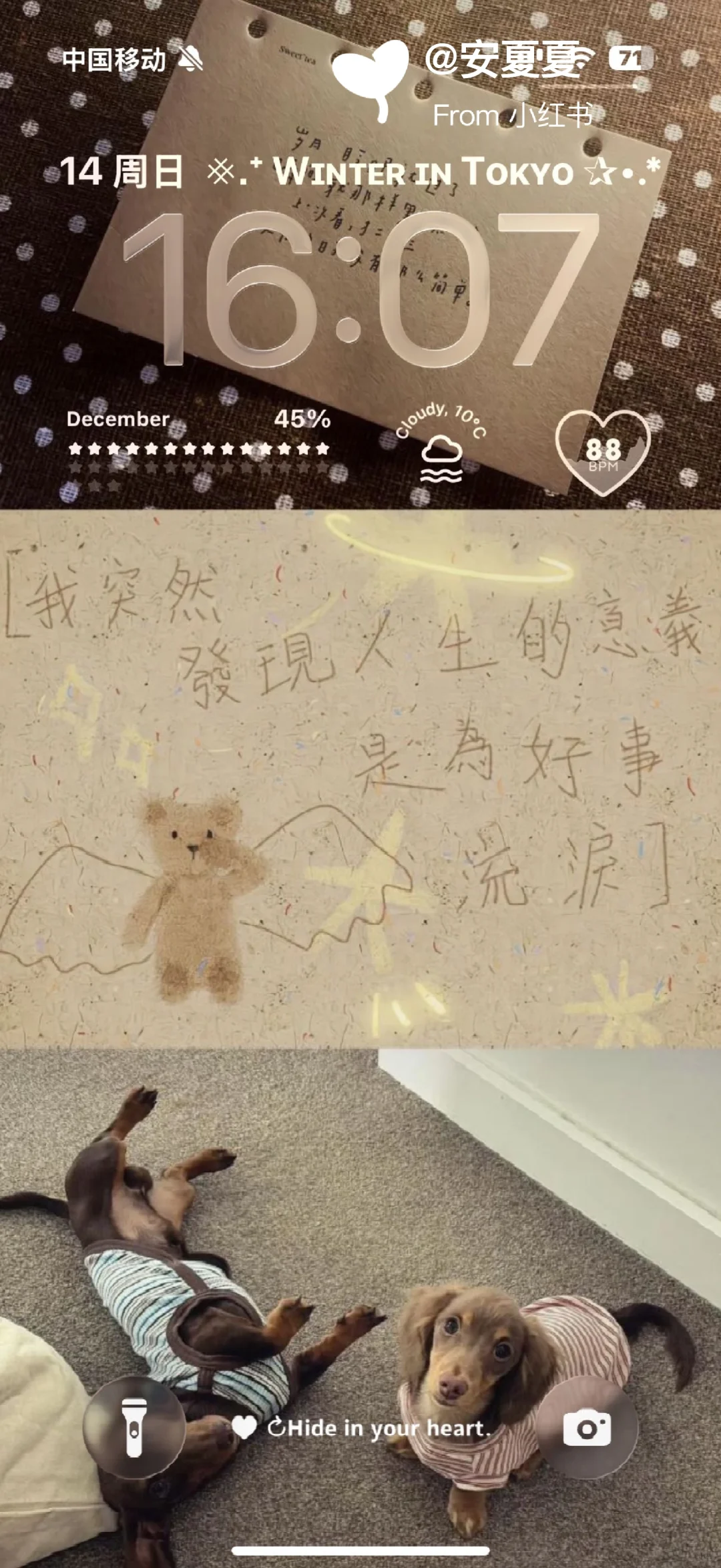 有一天，我不再把离别当失去ins壁纸