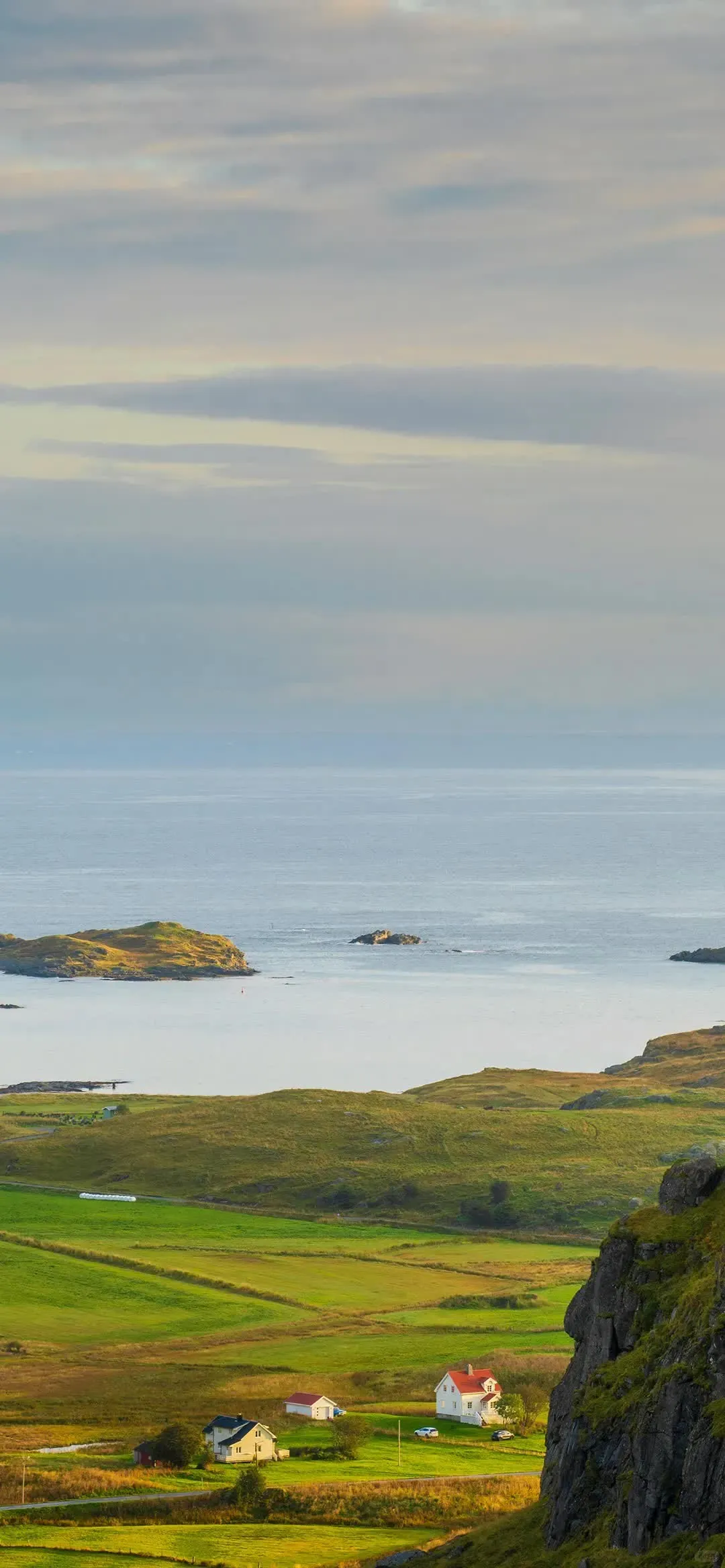 𝙎𝙝𝙖𝙧𝙚超清好看ins全屏壁纸