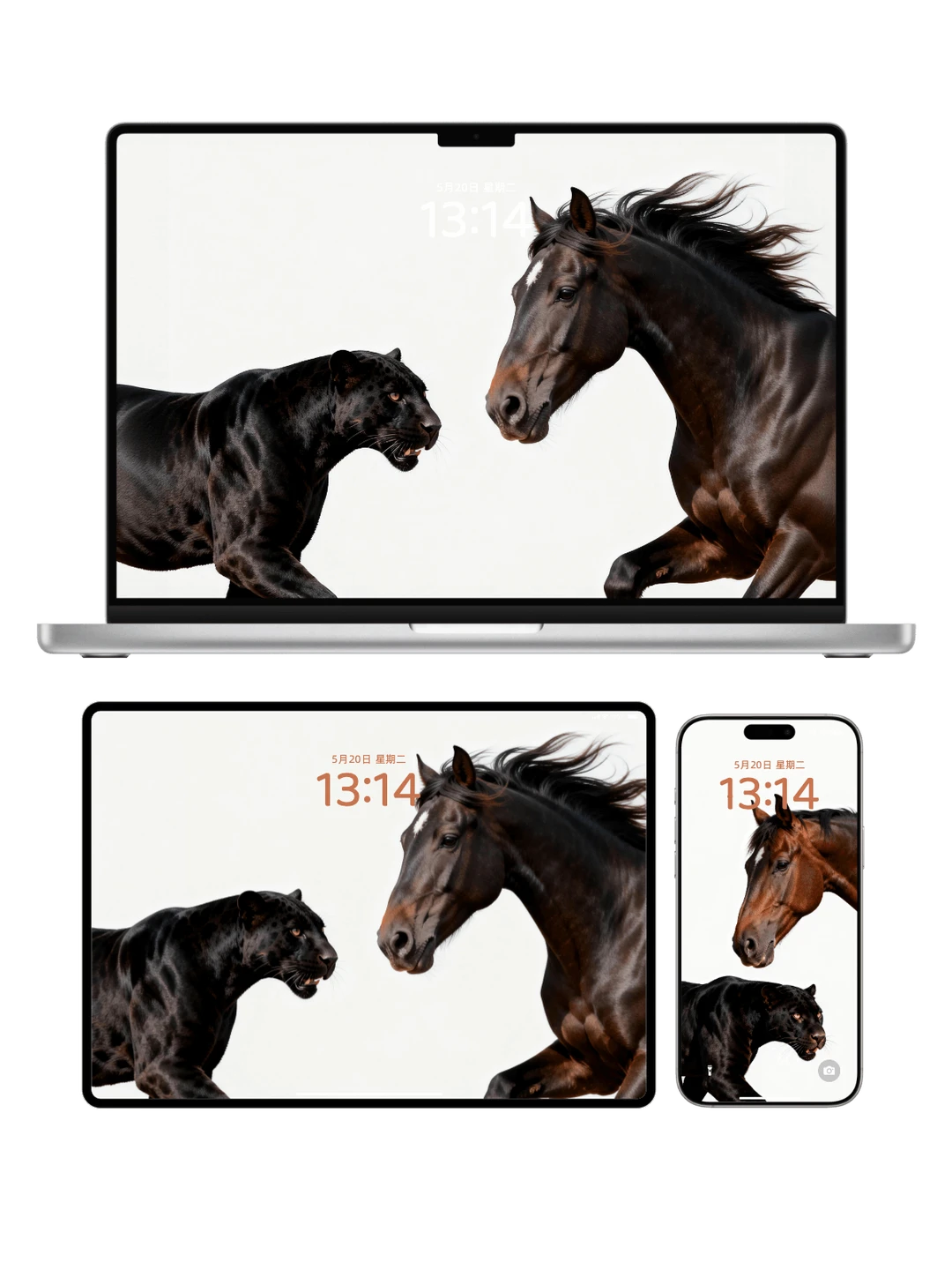 马上🐆富 马年限定高清壁纸