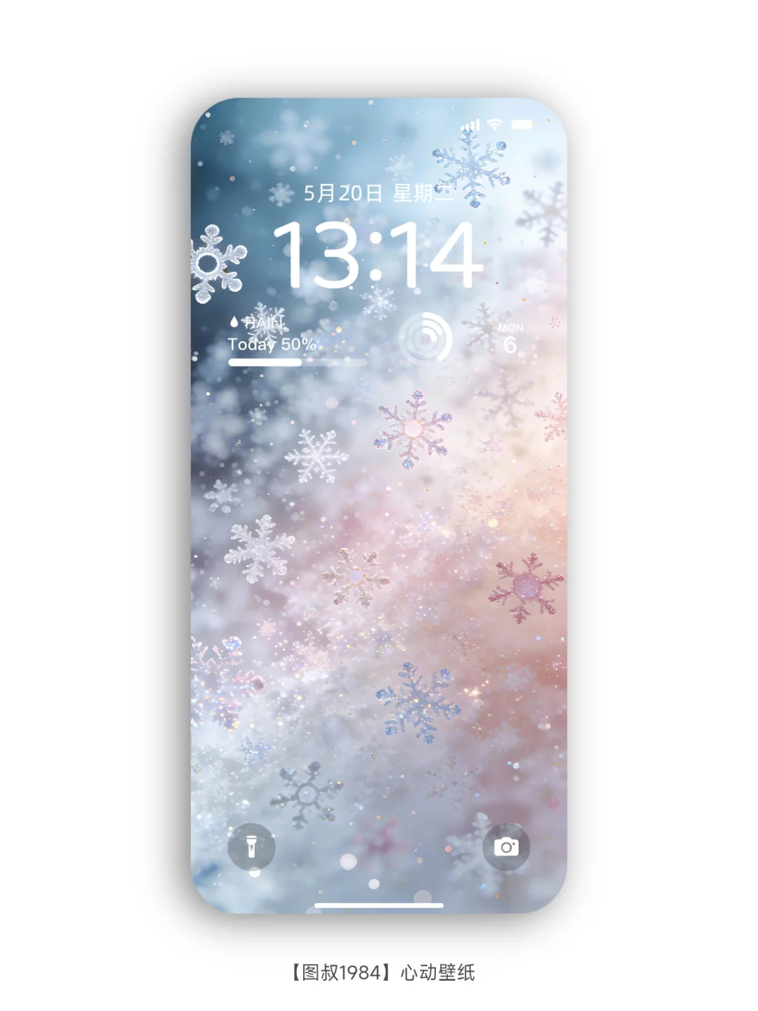 芳华盛世，雪兆丰年，唯美雪花壁纸❄️