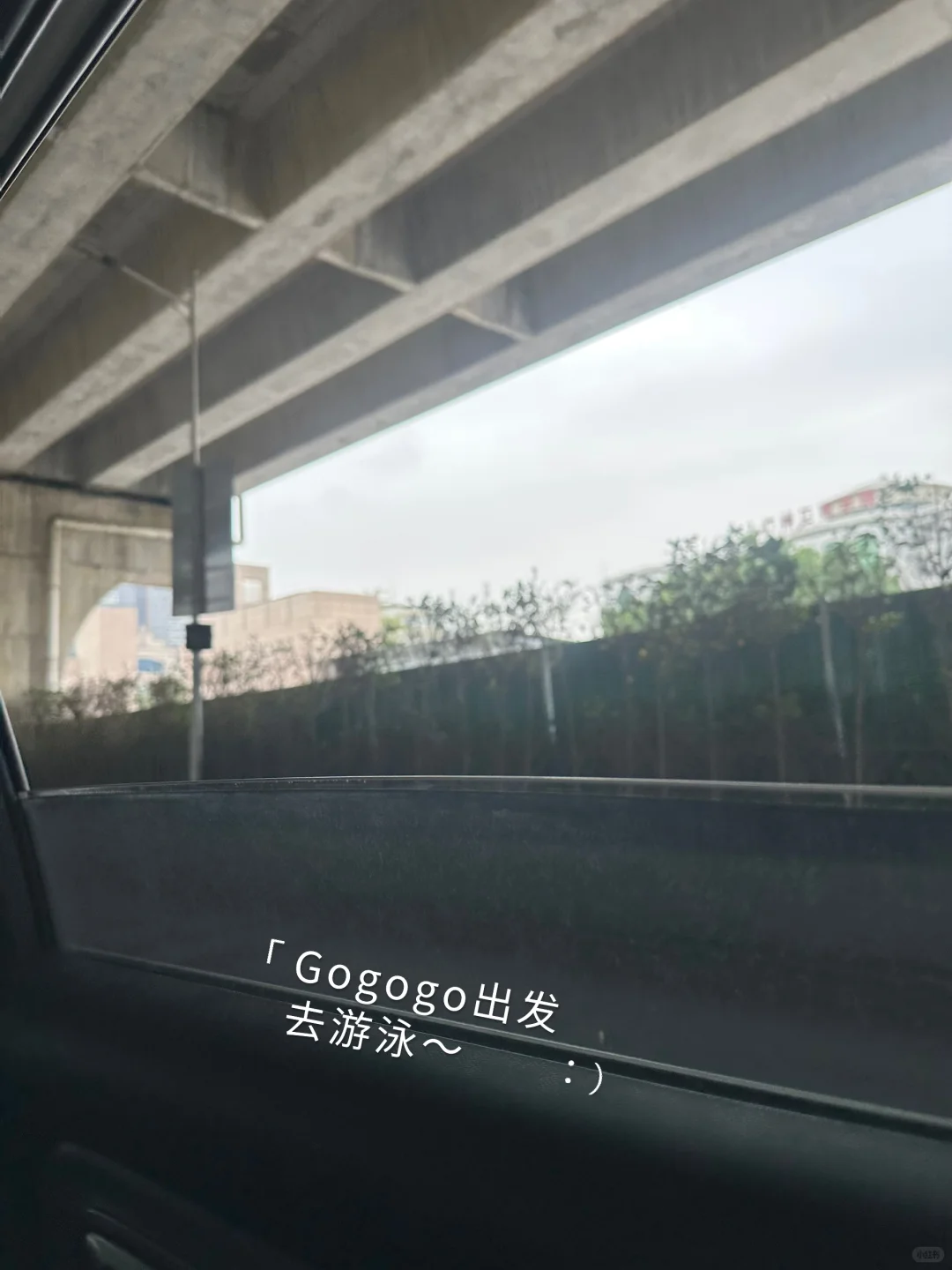 🏊🏻‍♀️ 人一旦学会游泳她就天天想着游泳