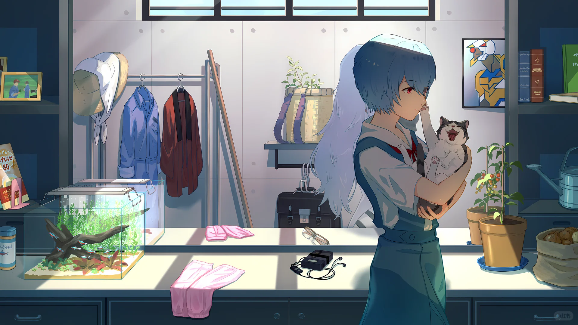 八张不同风格的平板/电脑系列壁纸