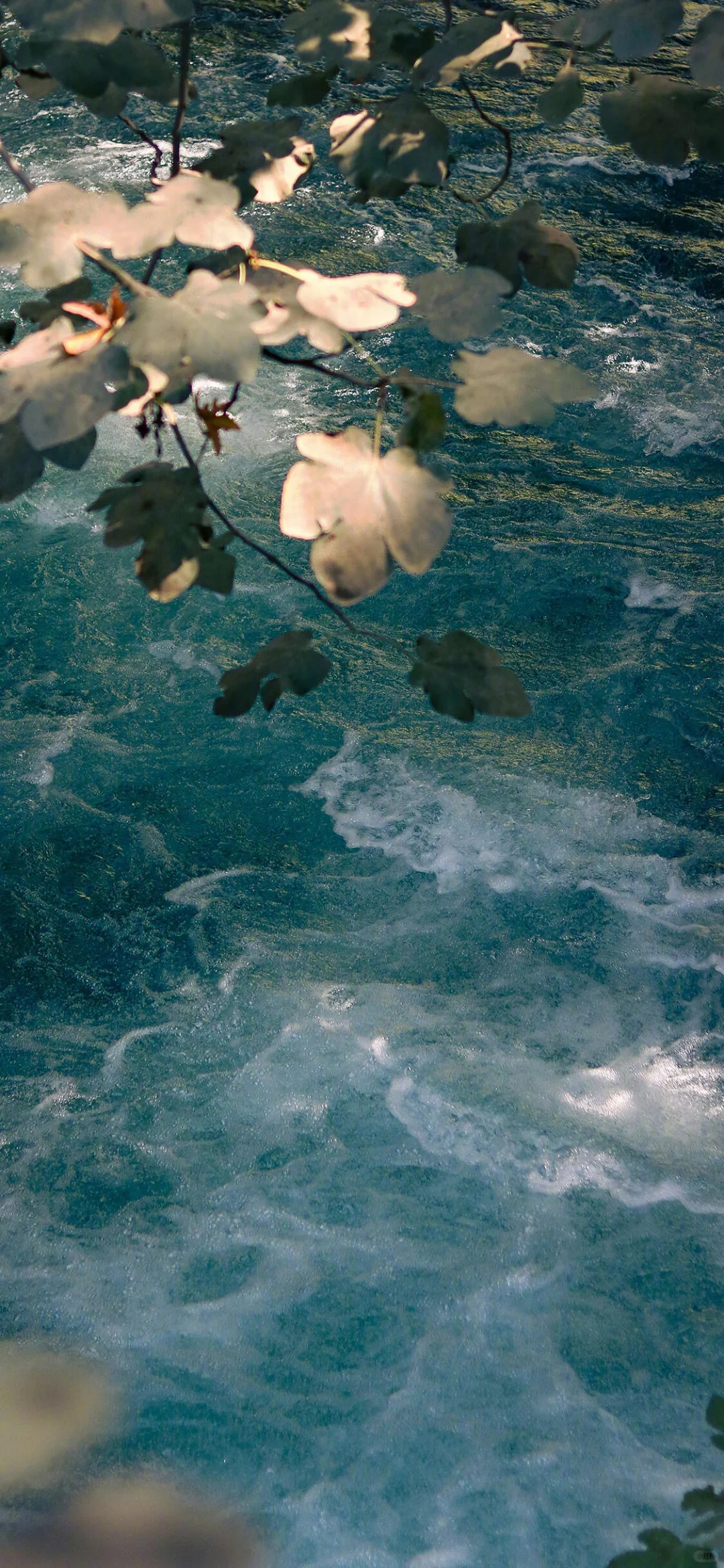 𝐖𝐚𝐥𝐥𝐚𝐩𝐚𝐩𝐞𝐫｜氛围感壁纸