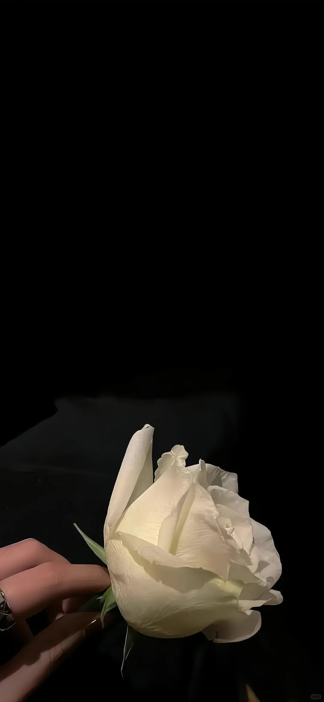 𝙒𝙚𝘾𝙝𝙖𝙩 | 壁纸分享