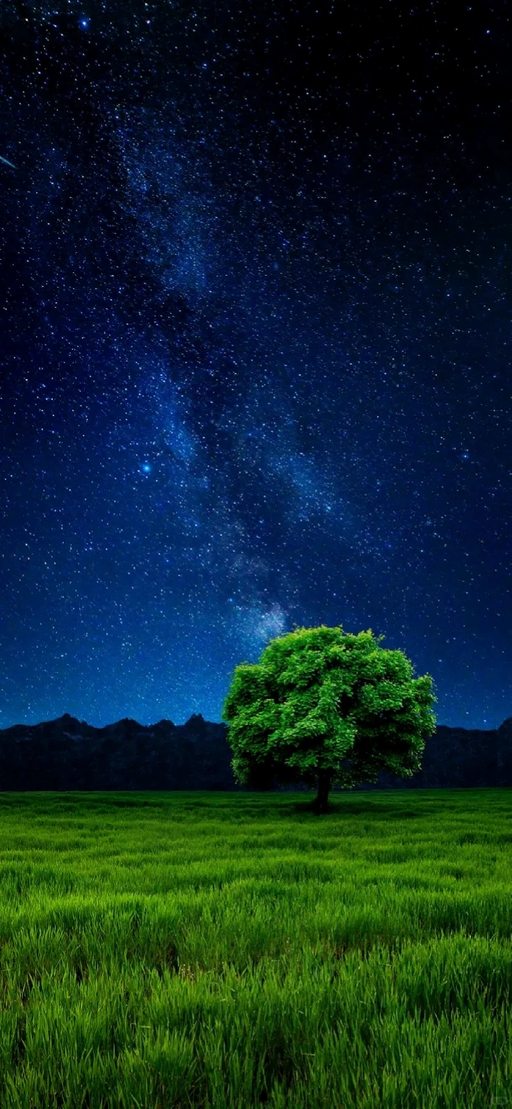 回忆满满，玩过这个的都多大了，童年壁纸