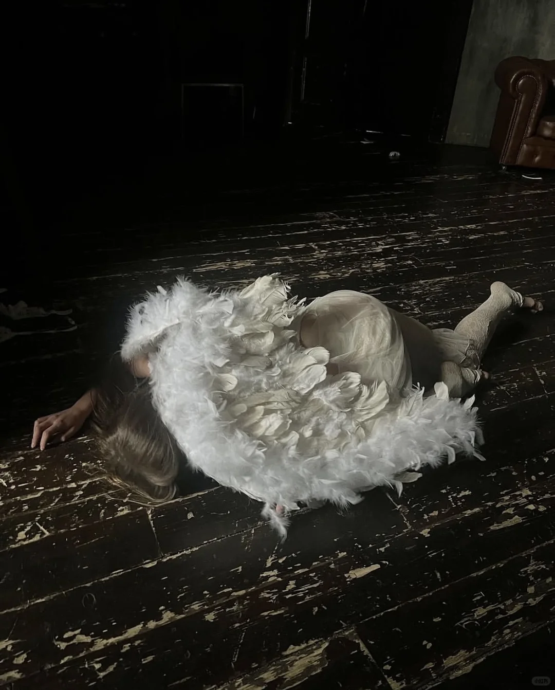 𝕭𝖗𝖔𝖐𝖊𝖓 𝖂𝖎𝖓𝖌𝖘 🪽