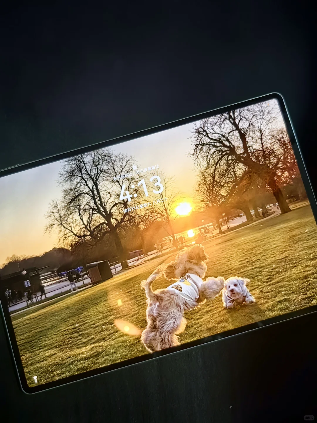 华为MatePadPro已买，公主请交出你的壁纸！