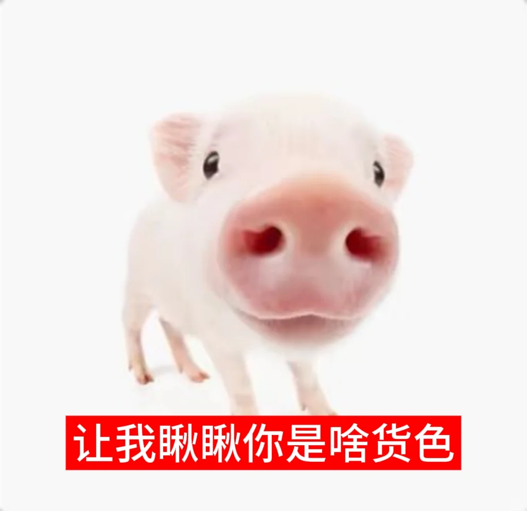 小猪表情