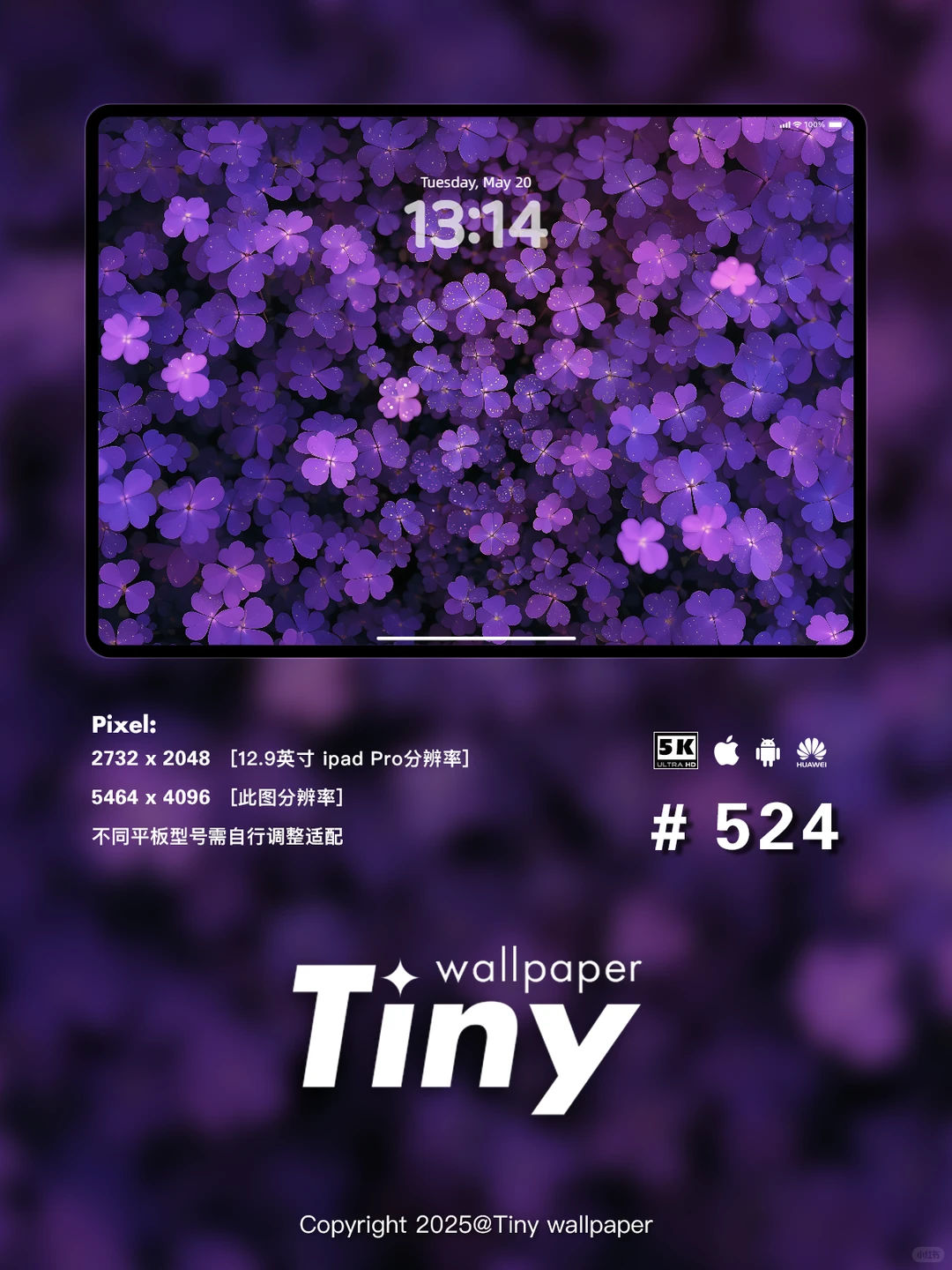 紫色四叶草 壁纸4端丨高级感花朵壁纸