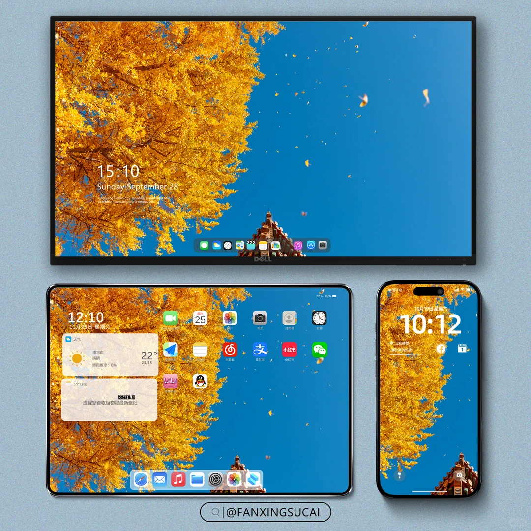 壁纸｜橘子色的秋天🍂，太美了！