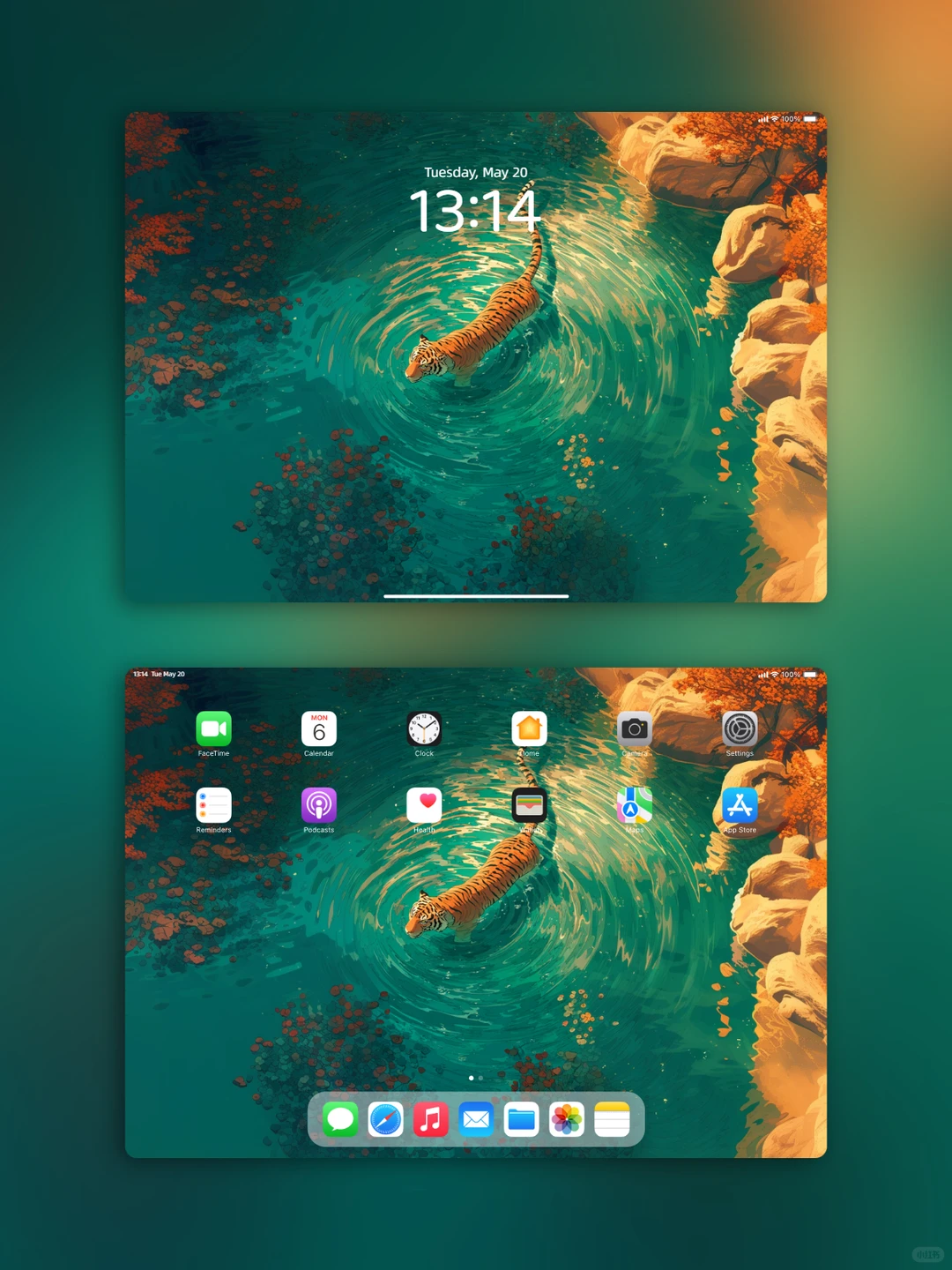 猛兽壁纸 l 虎跃深潭