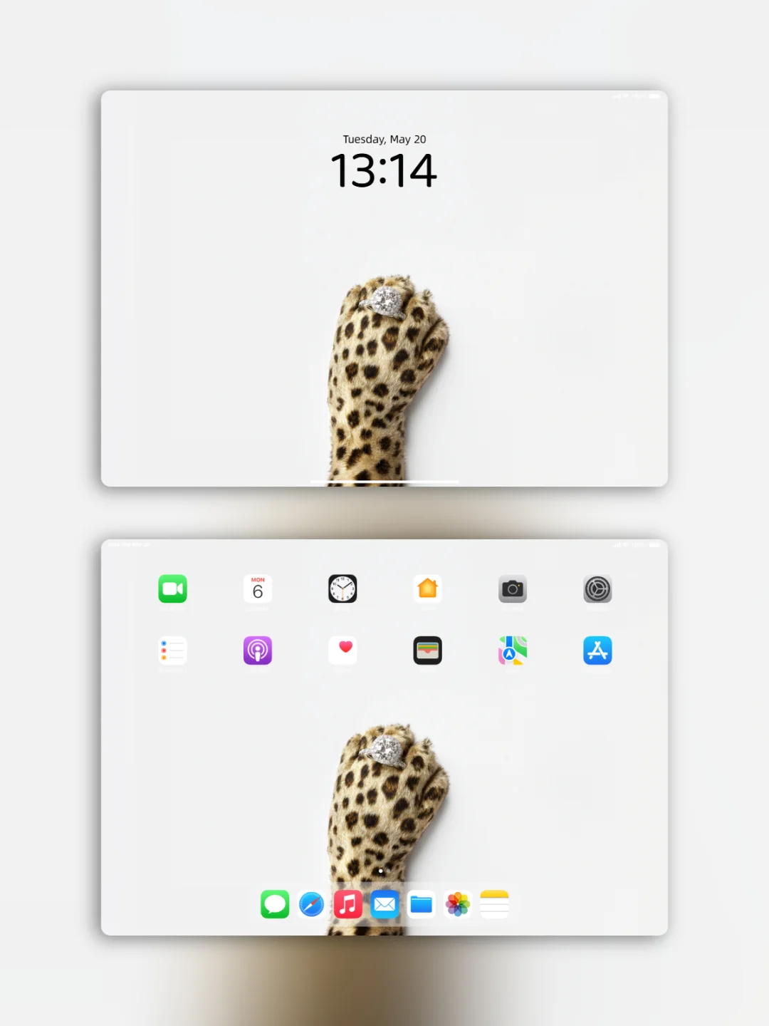 豹纹壁纸 l 钻戒爪爪