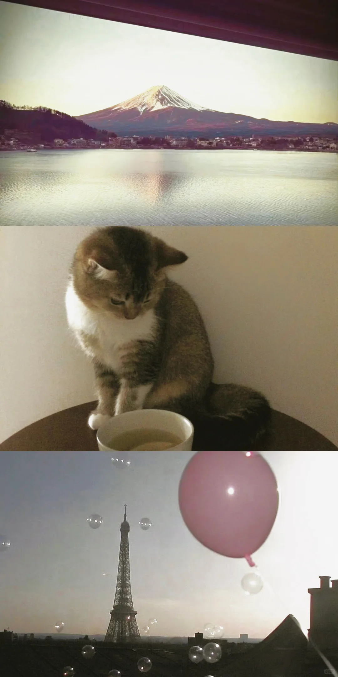 share🍥|自拼壁纸⊹✮₊⋆