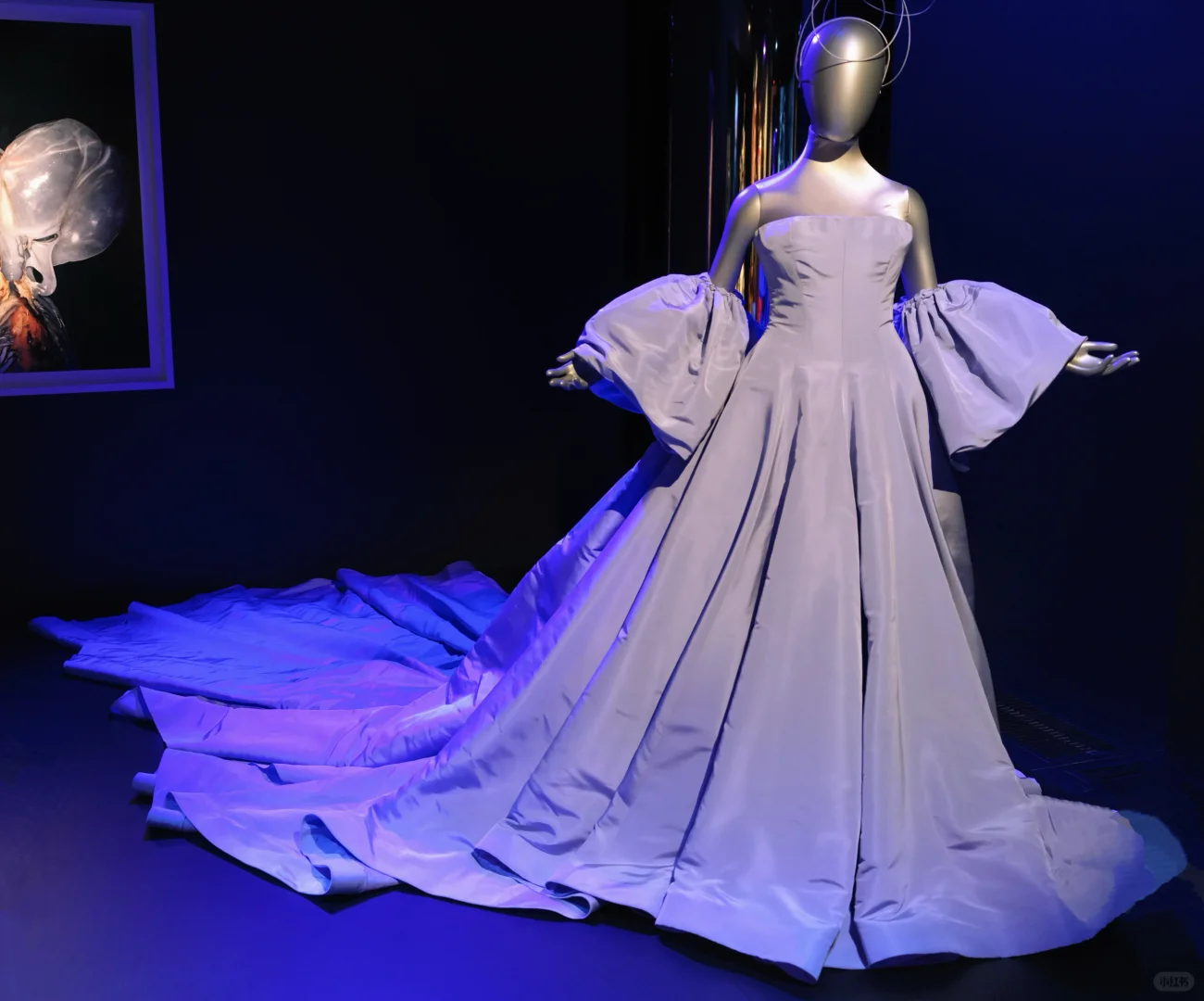 “女神”都穿些什么？