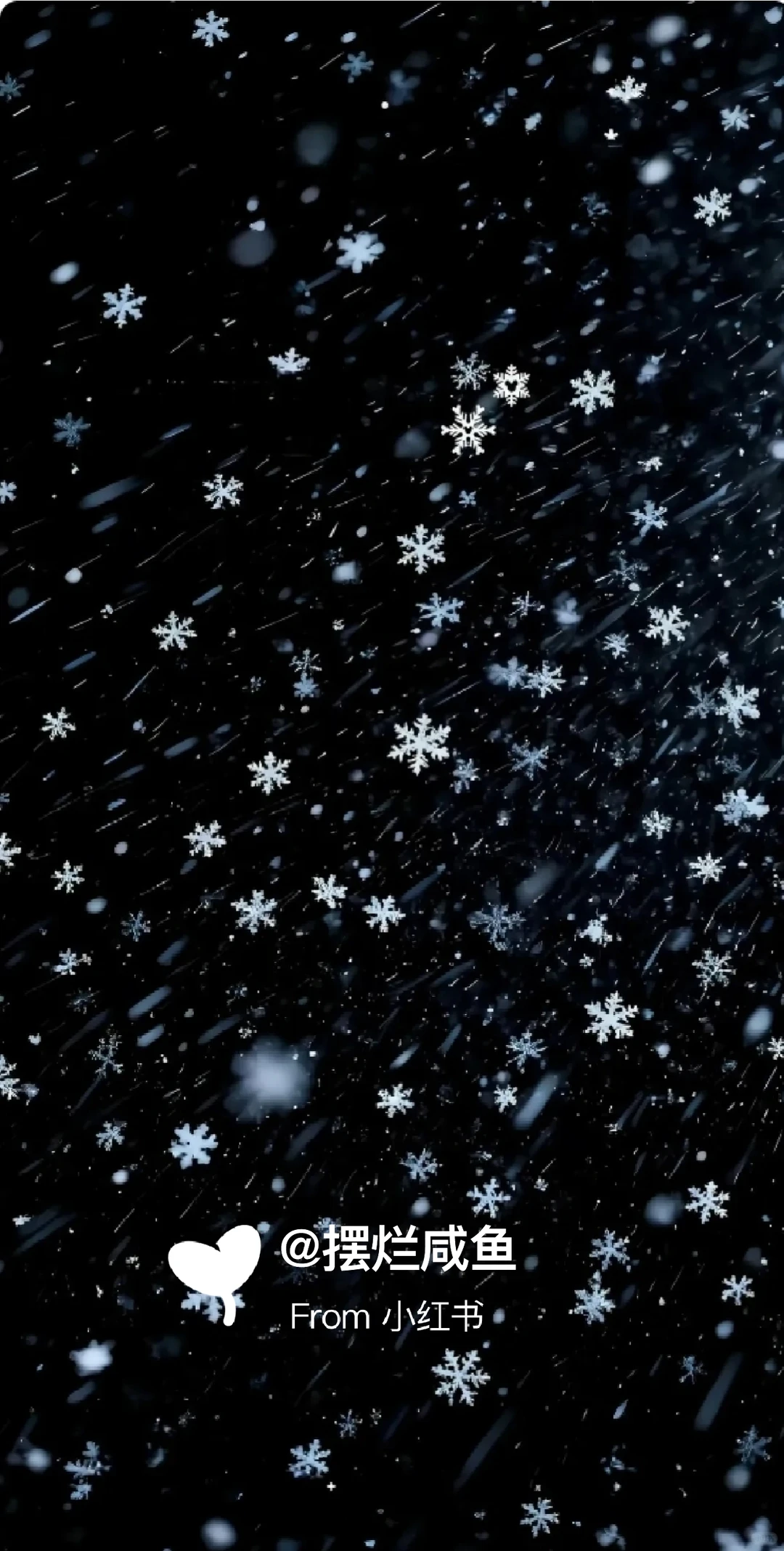 𝐖𝐞𝐂𝐡𝐚𝐭｜高质圣诞节壁纸