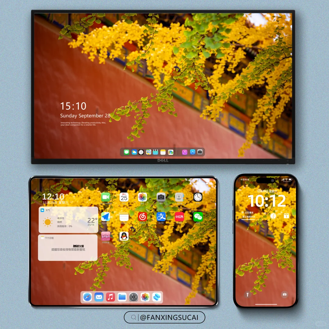 壁纸｜橘子色的秋天🍂，太美了！