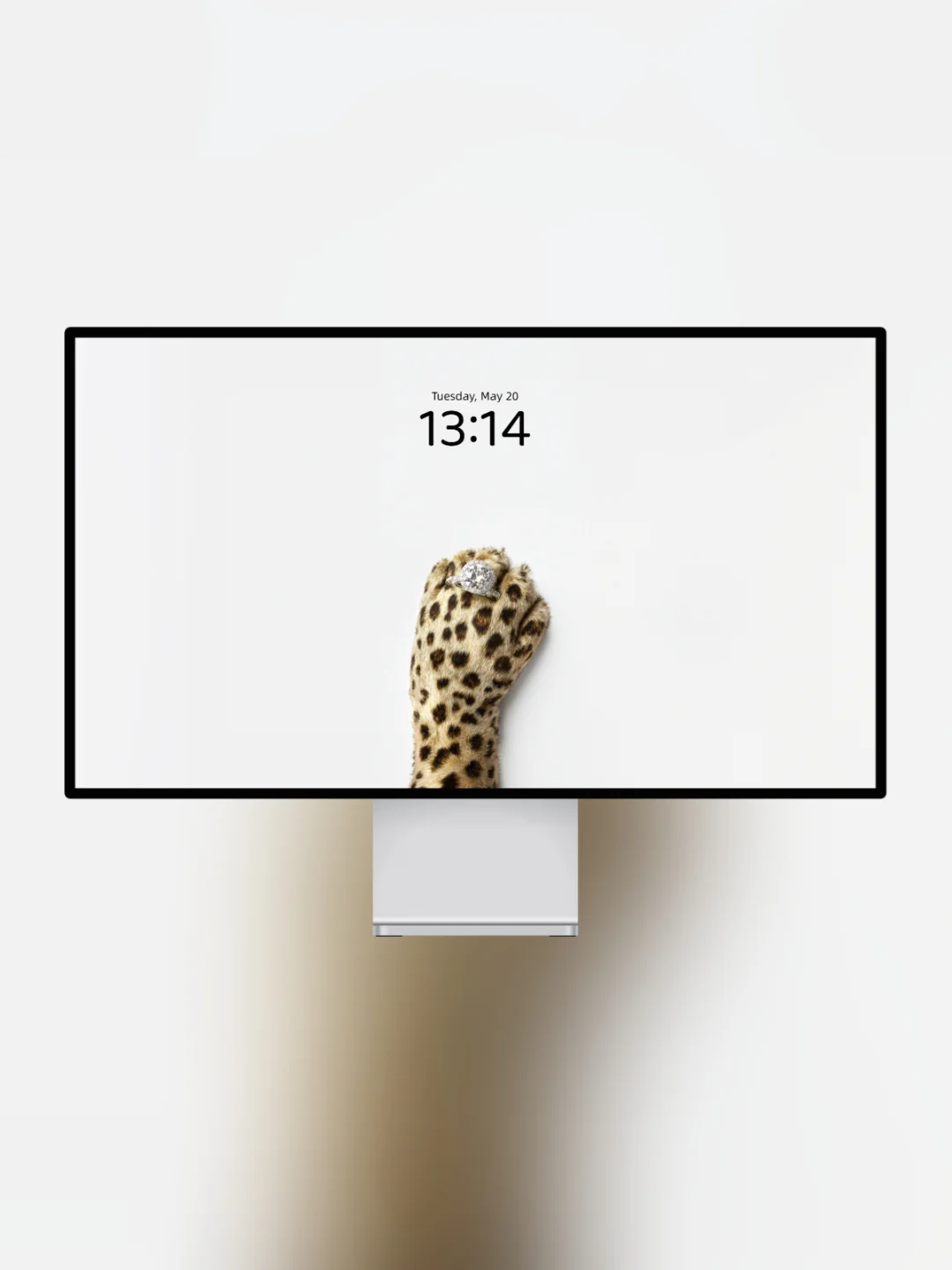 豹纹壁纸 l 钻戒爪爪