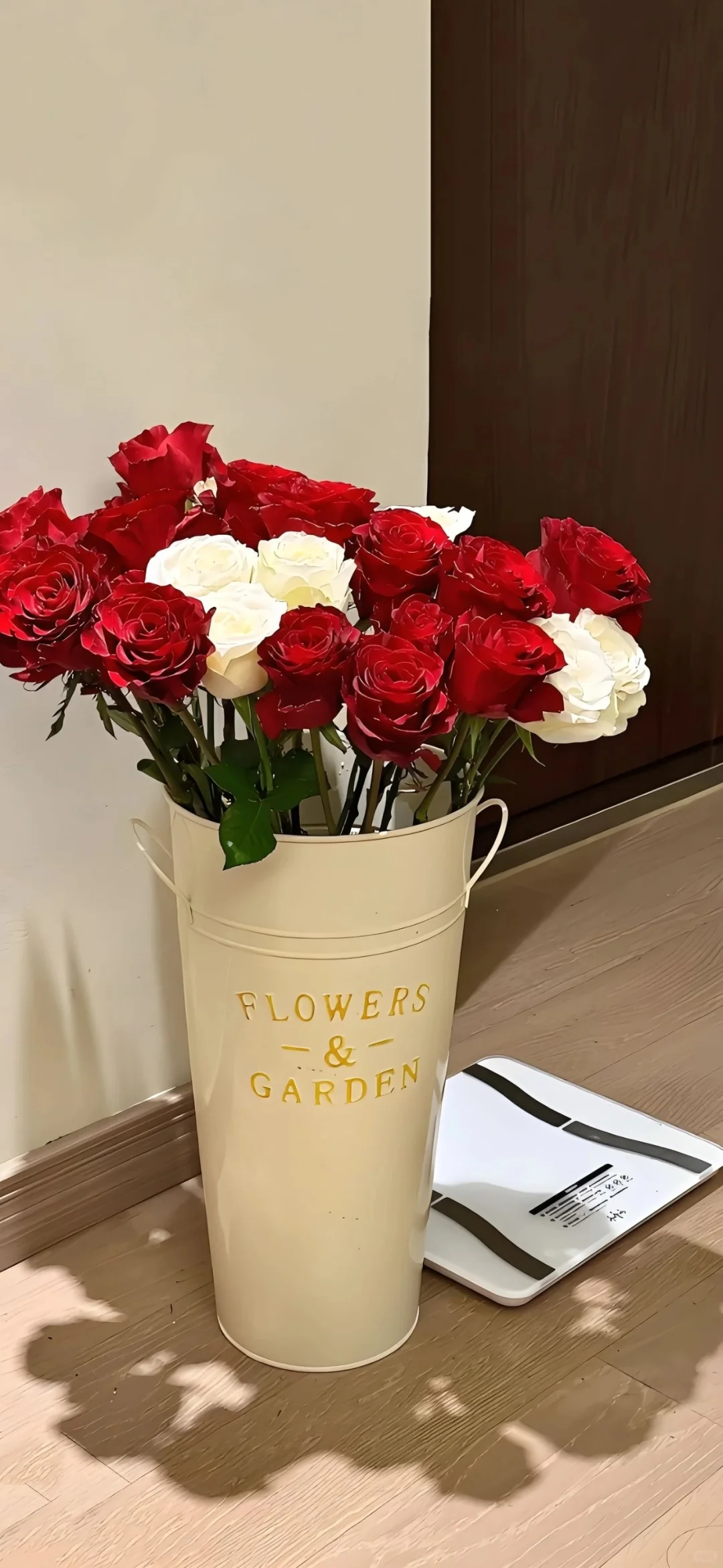 Share｜你的手机锁屏壁纸该换啦~