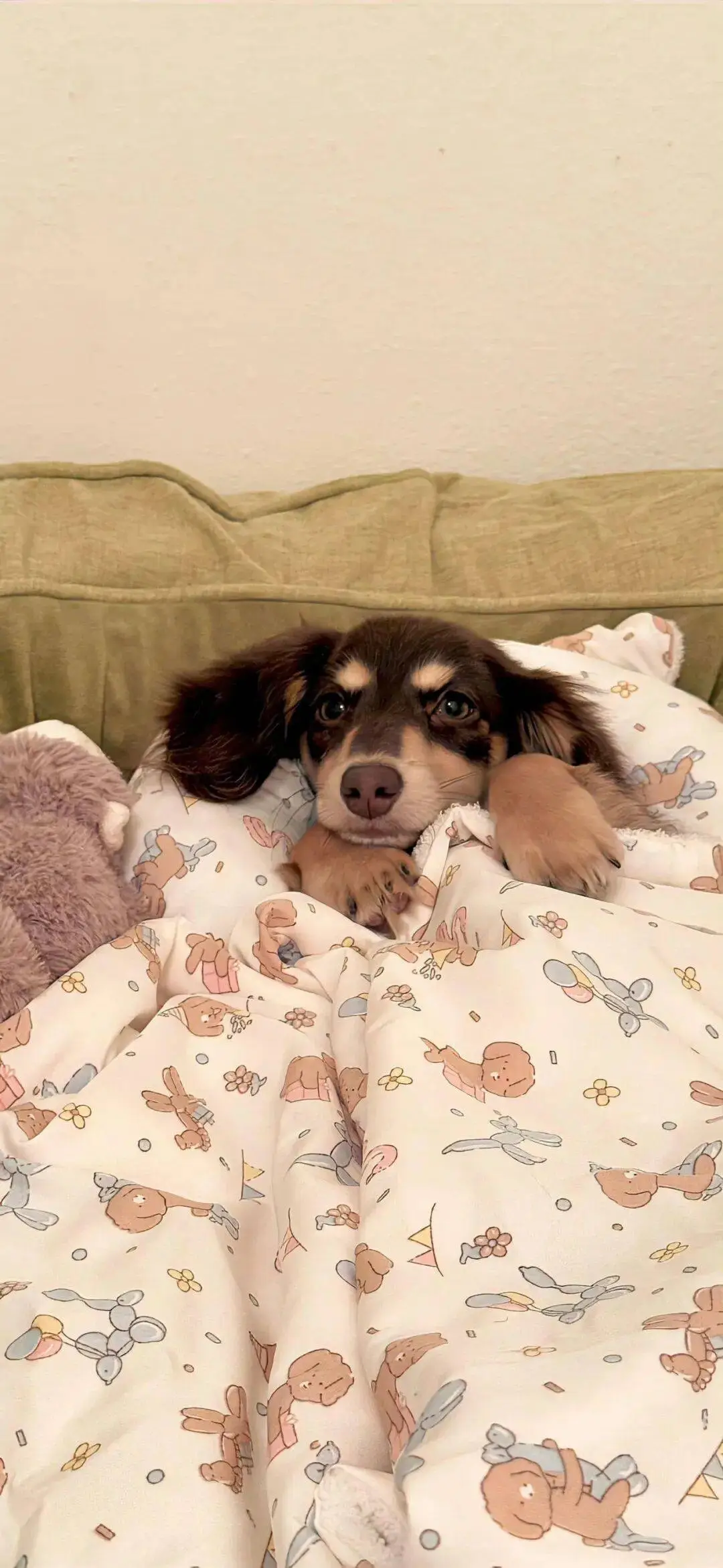 手机壁纸｜可爱壁纸｜高清壁纸