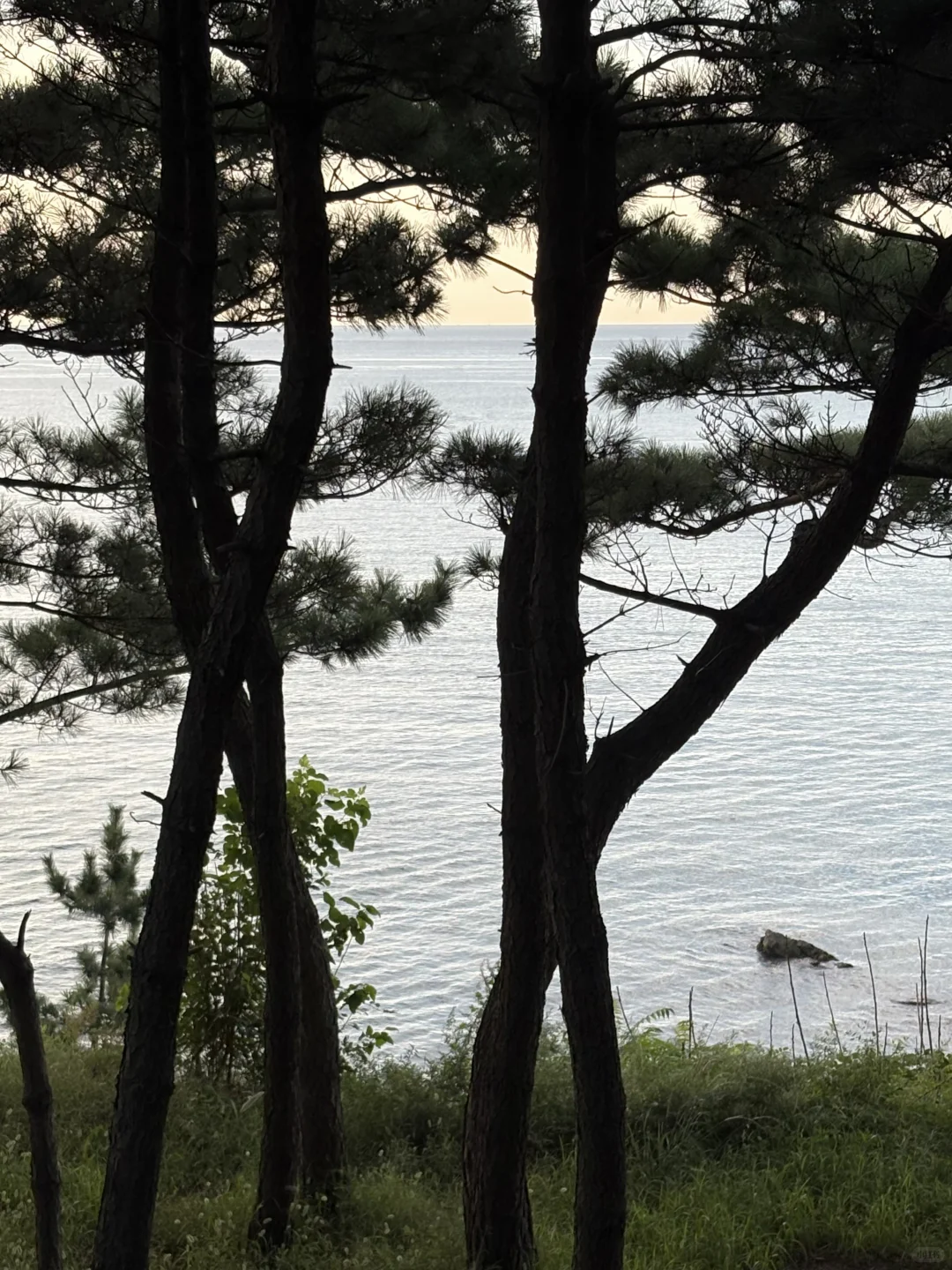 不扭捏，永远做山野小孩儿