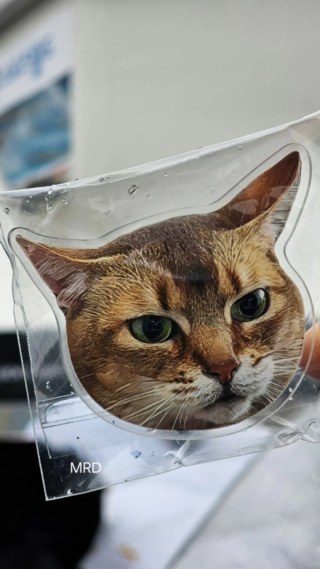 丹尼尔手机壁纸/fancon会员礼&赞儿/鸭鸭