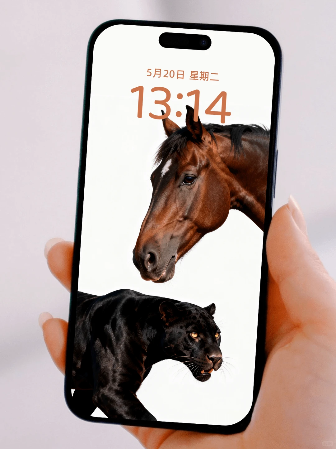 马上🐆富 马年限定高清壁纸