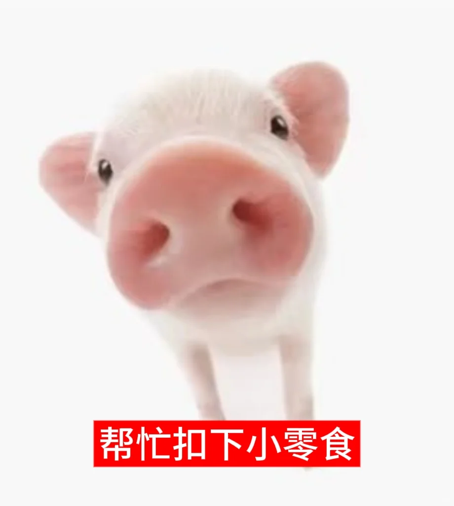 小猪表情