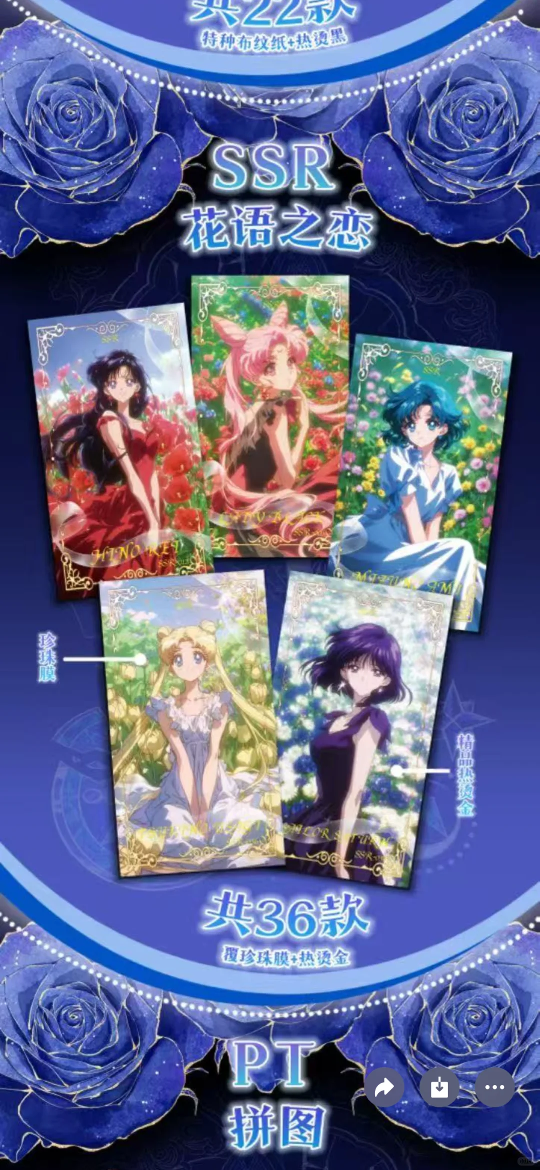 祈月美战！又又又降价了！