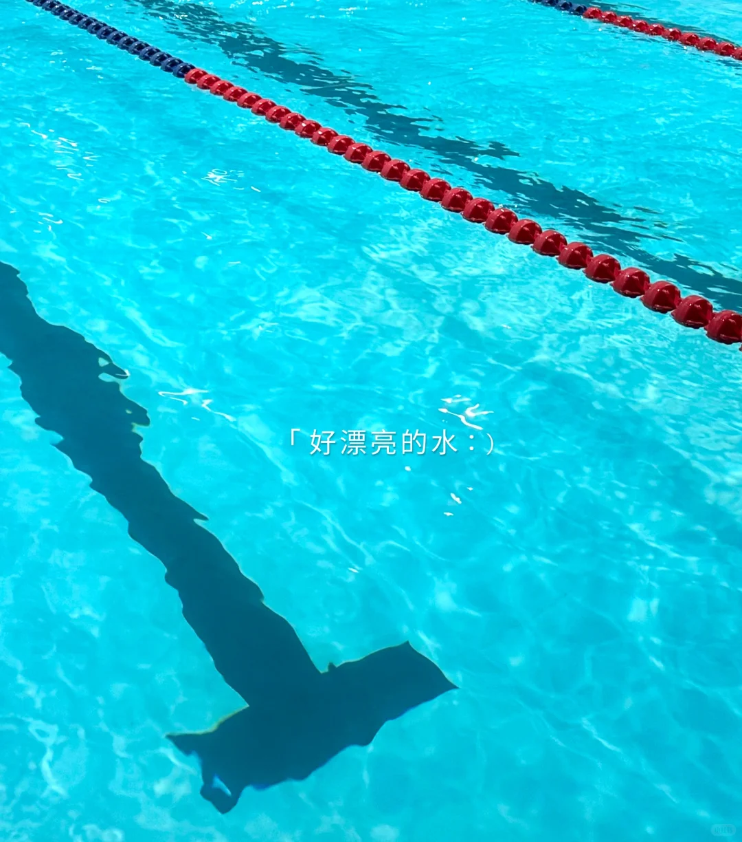 🏊🏻‍♀️ 人一旦学会游泳她就天天想着游泳