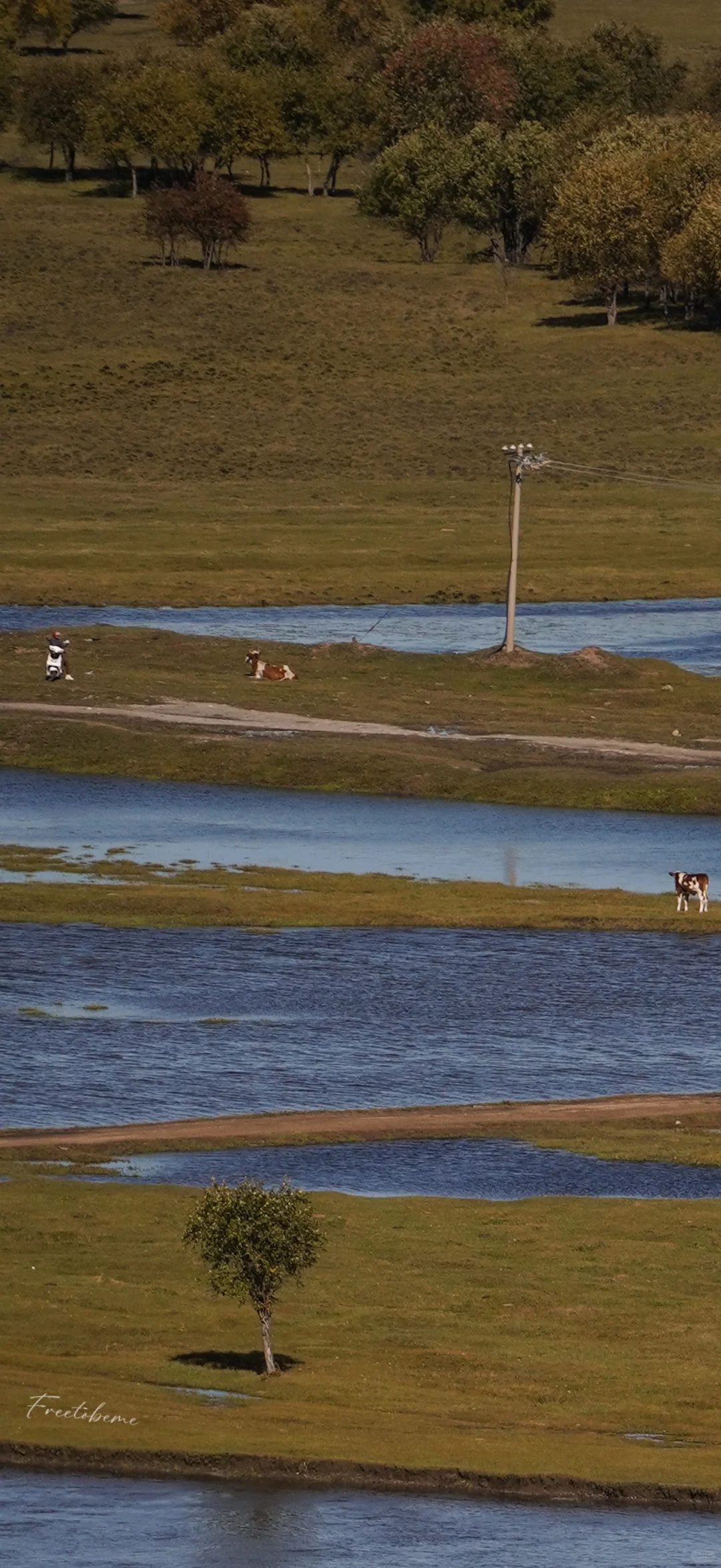 竖屏壁纸·风景～