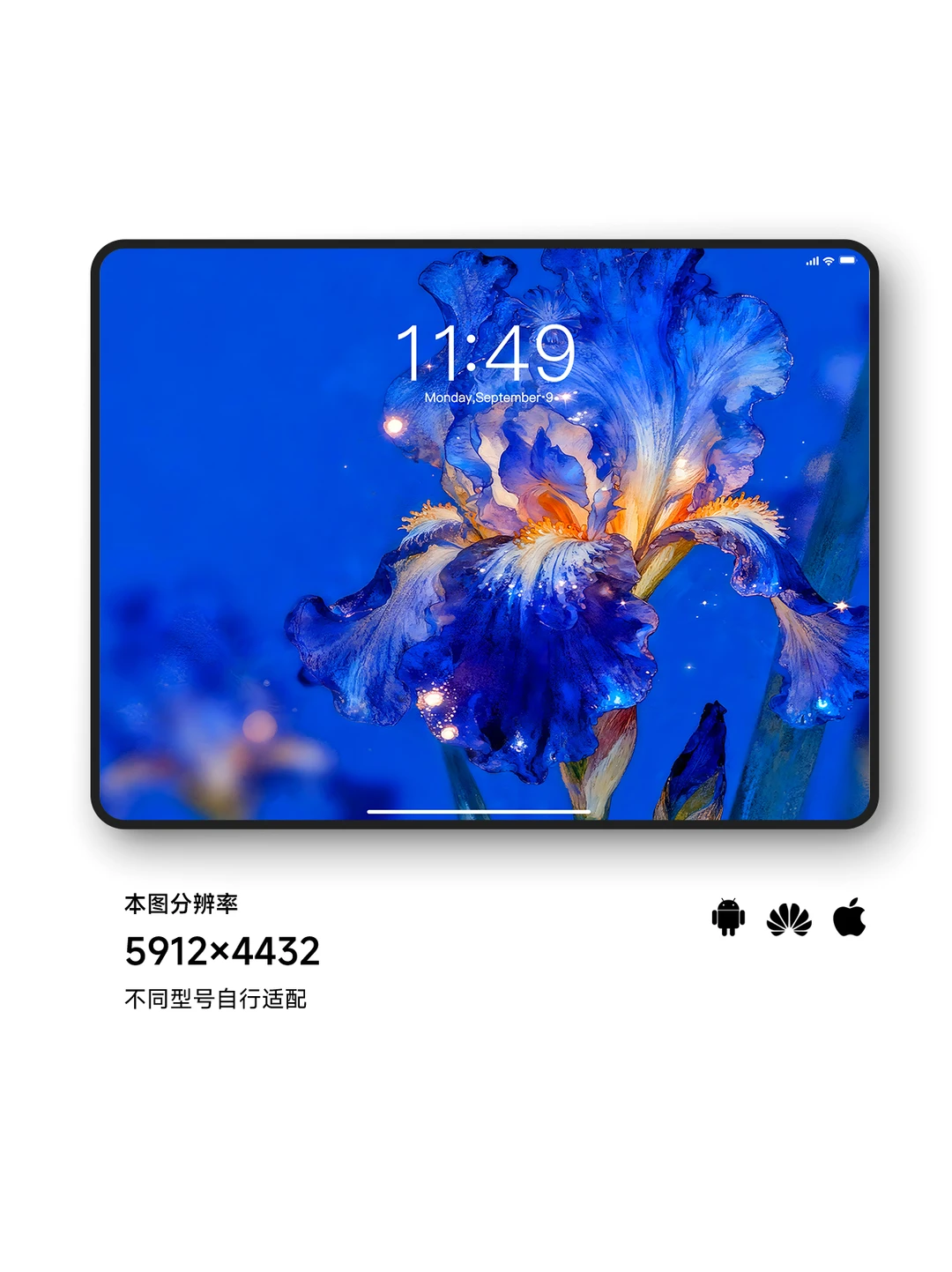 爱的使者鸢尾花｜ios26景深油画壁纸Z458