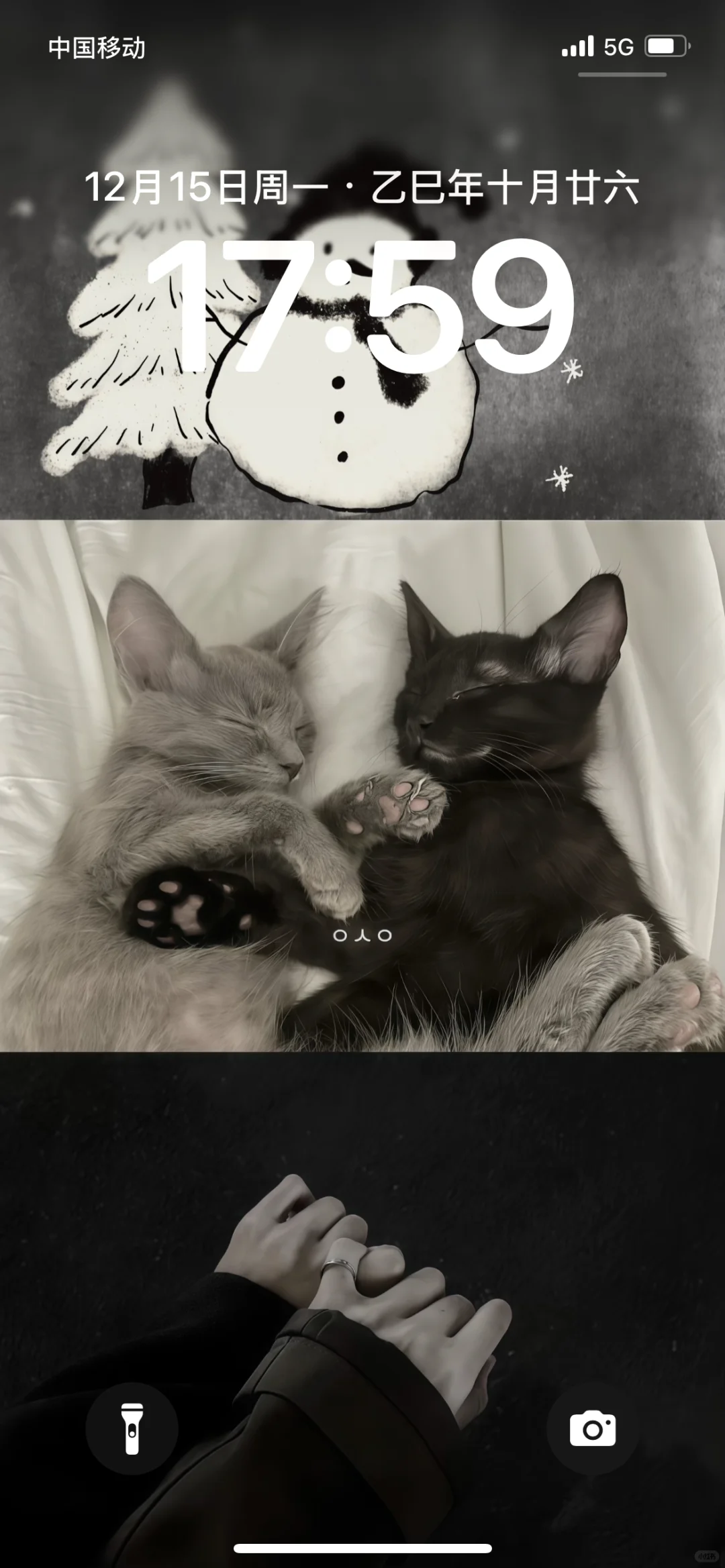 Share｜秋冬氛围感壁纸𖦹☁️ ⑉⑉. 🖤⋆⁺₊⋆꙳.