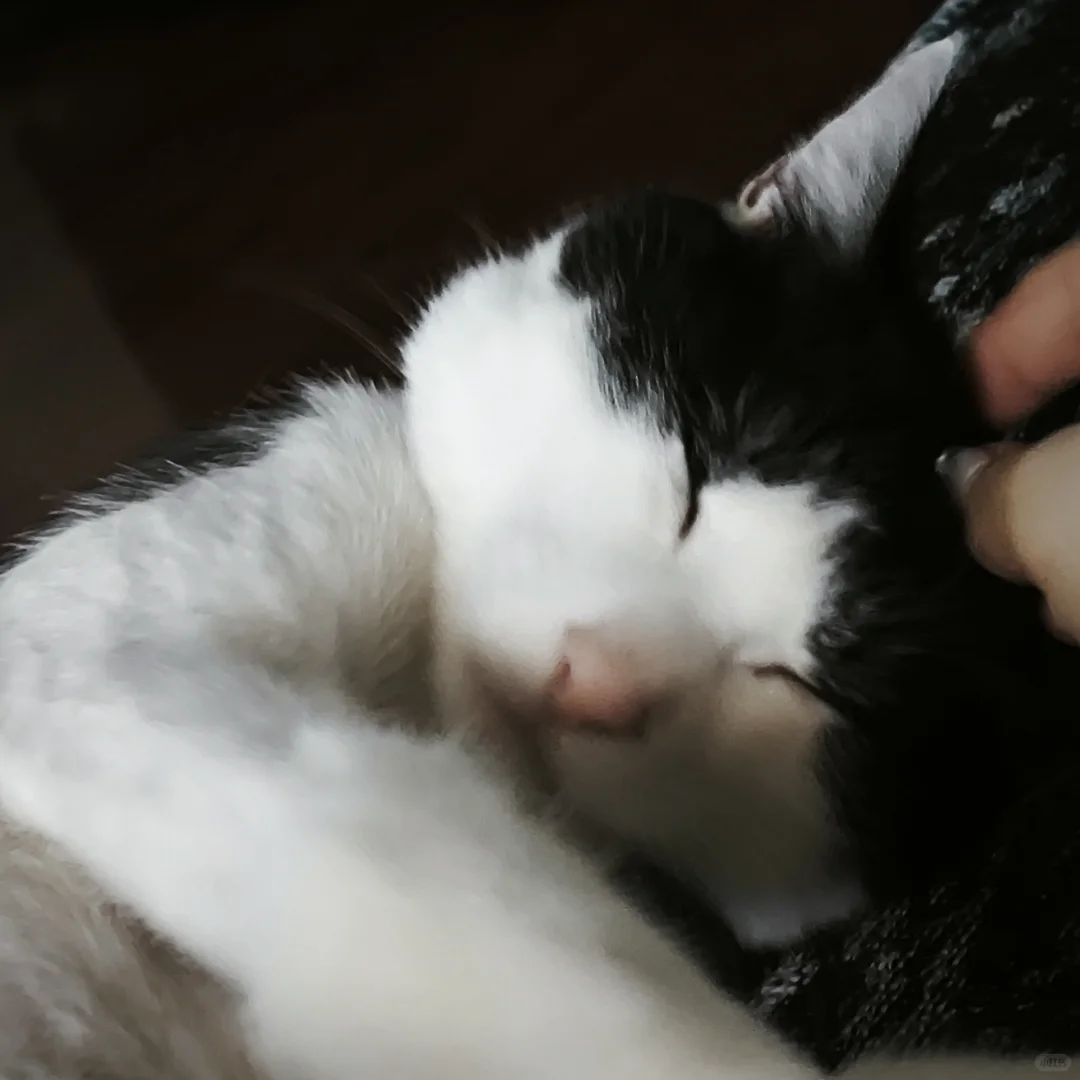 为了大海！今年一定要穿上比基尼！