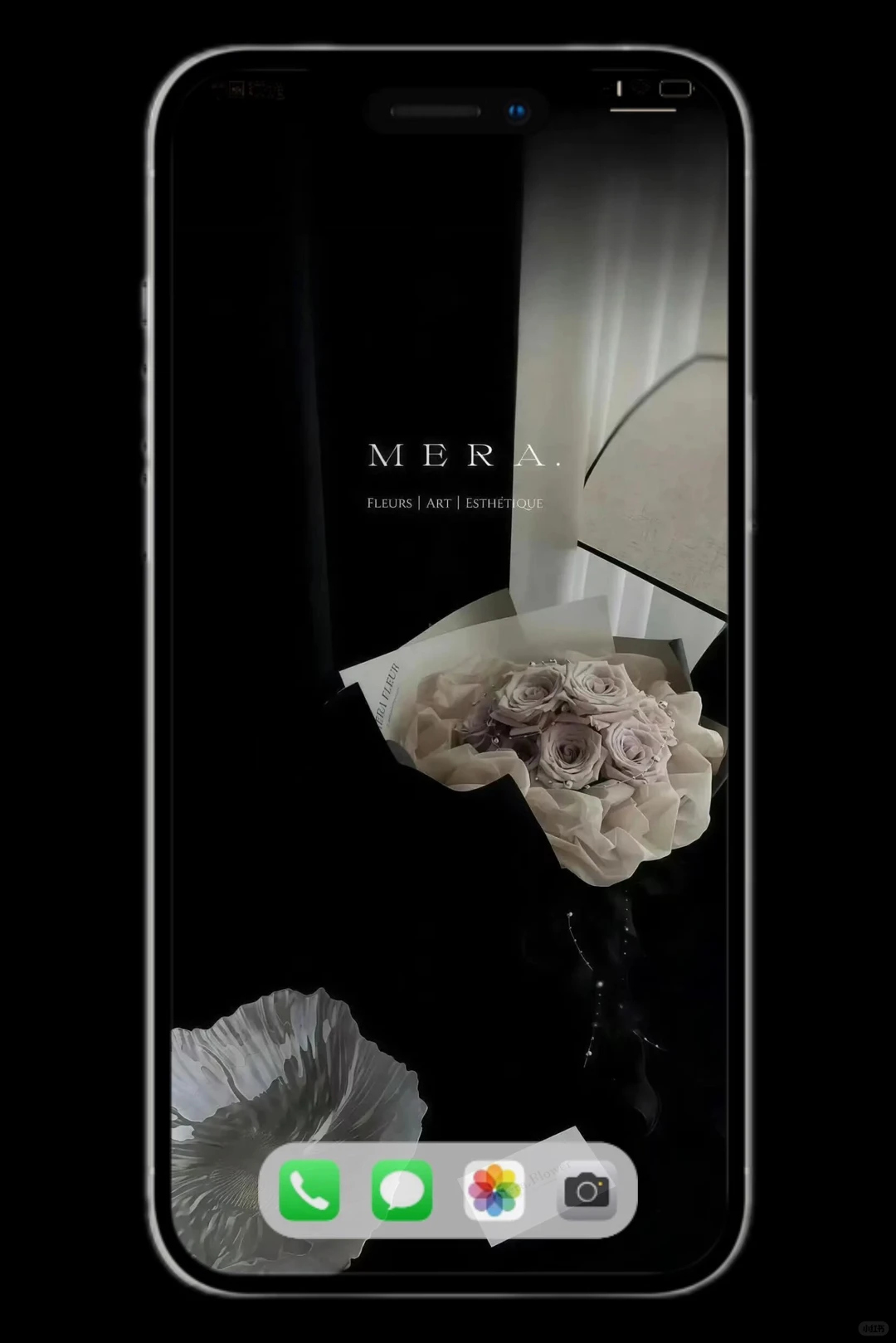 我爱的静物摄影壁纸来啦～