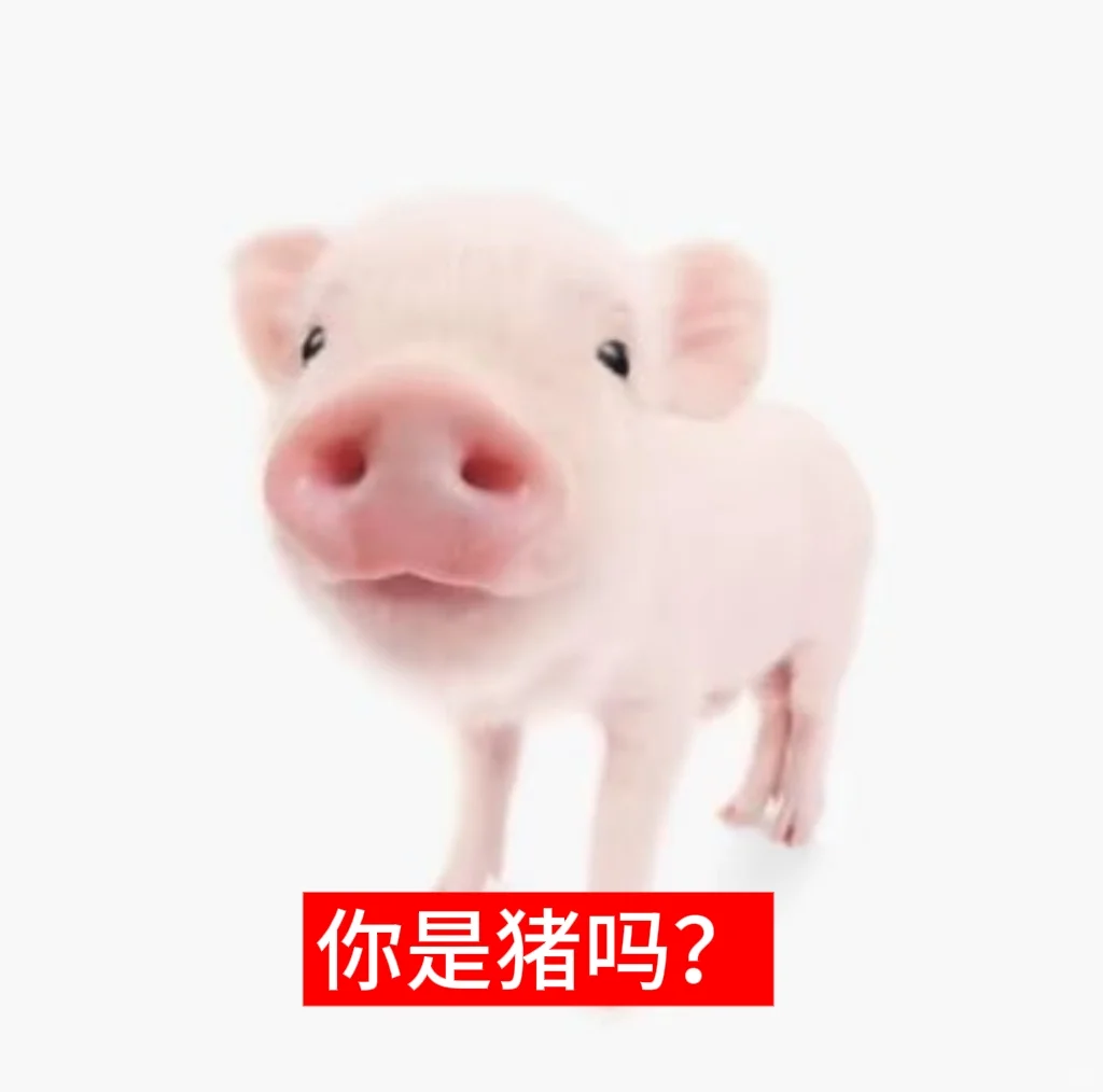 小猪表情