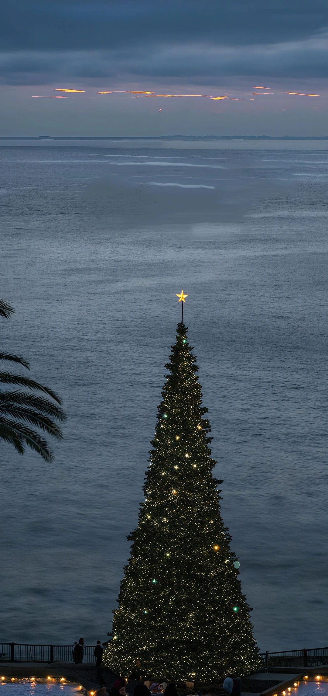 领取你的圣诞节壁纸