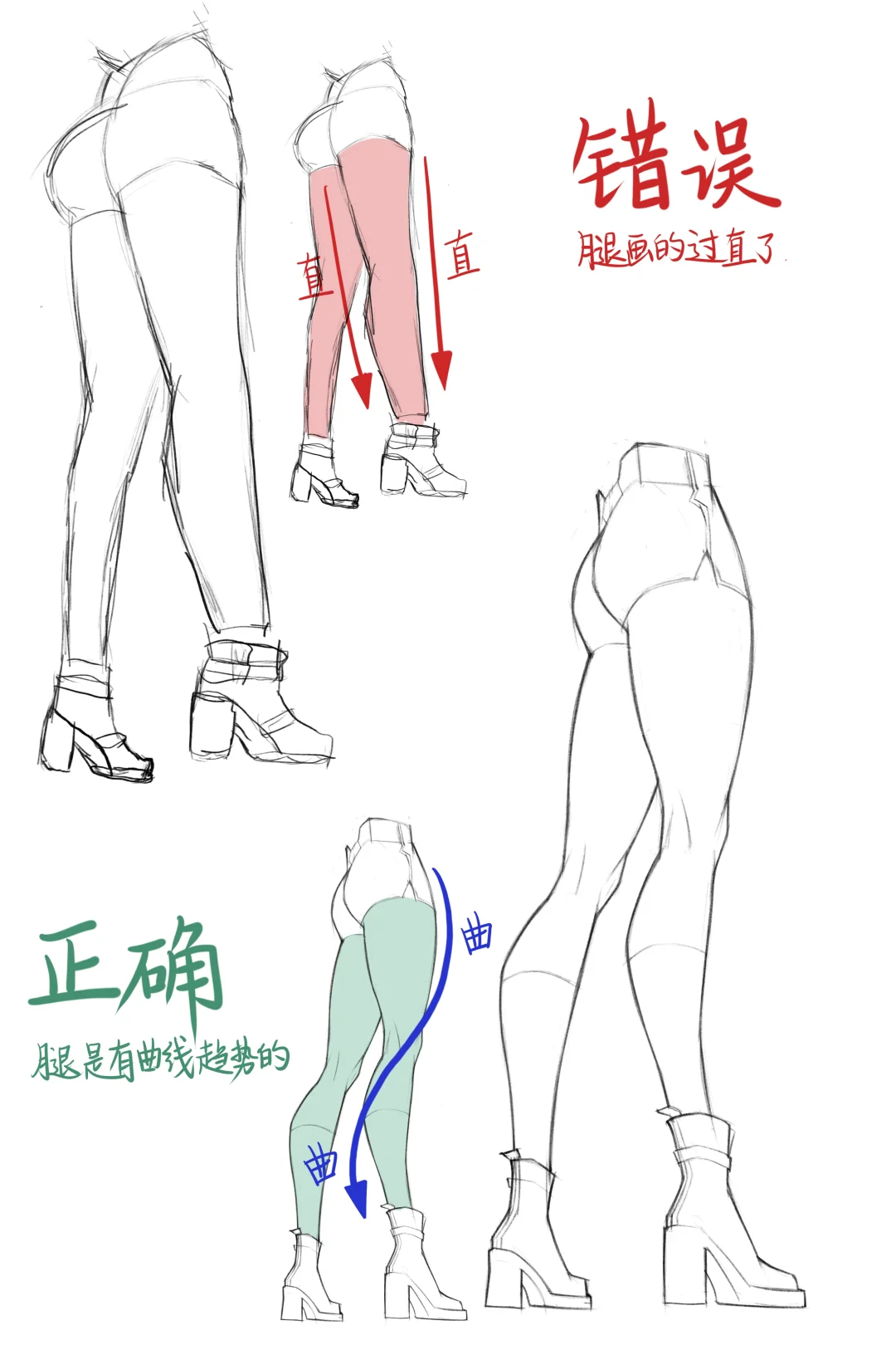 人体绘画_腿部曲线