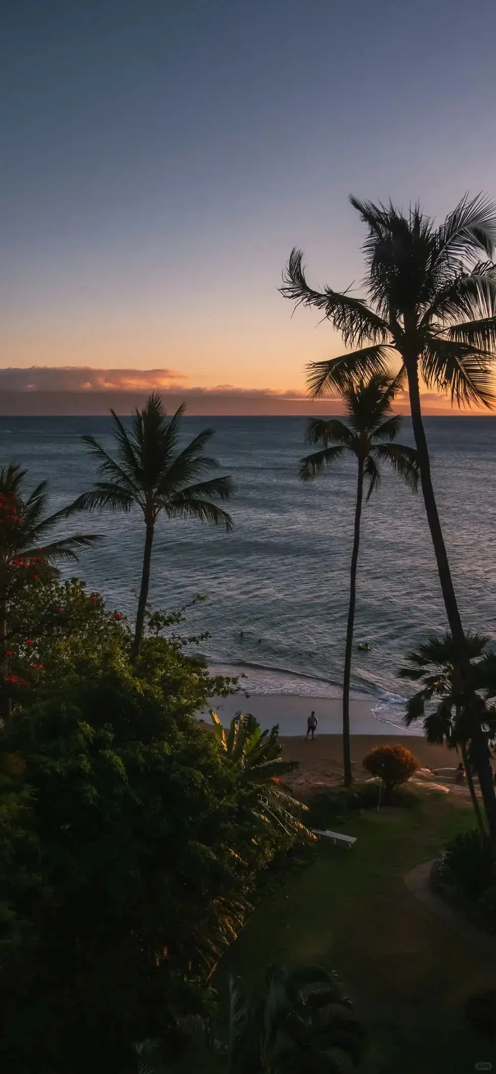 𝙎𝙝𝙖𝙧𝙚超清好看ins全屏壁纸