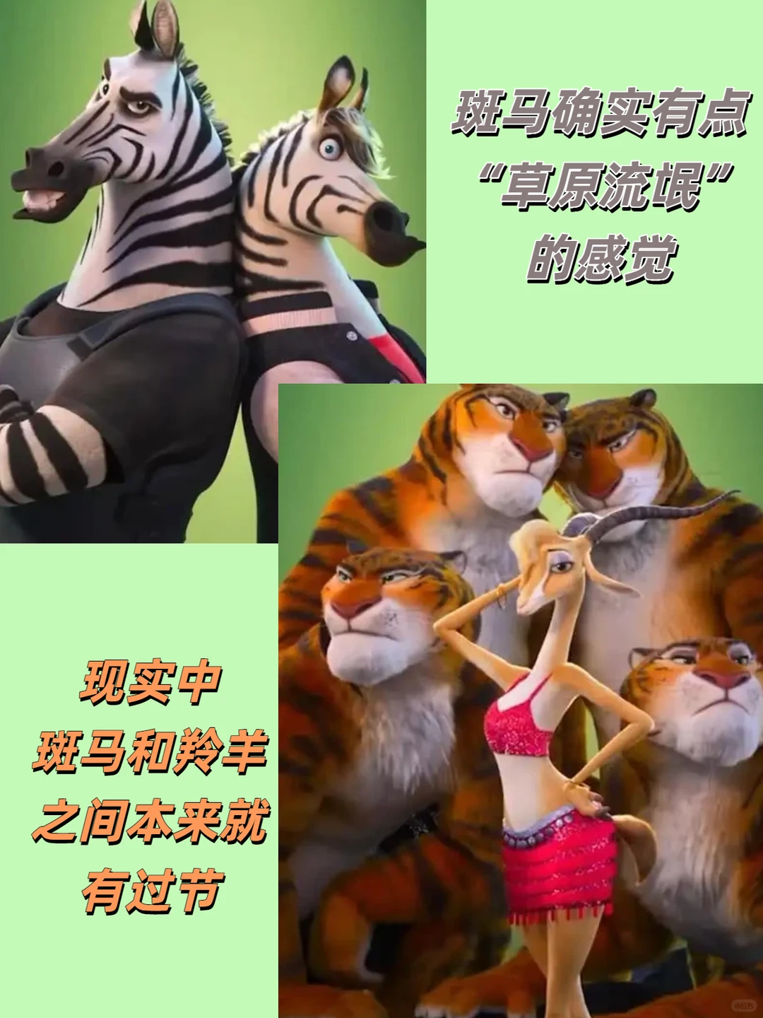 没人说吗？疯狂动物城2女明星更迷人了