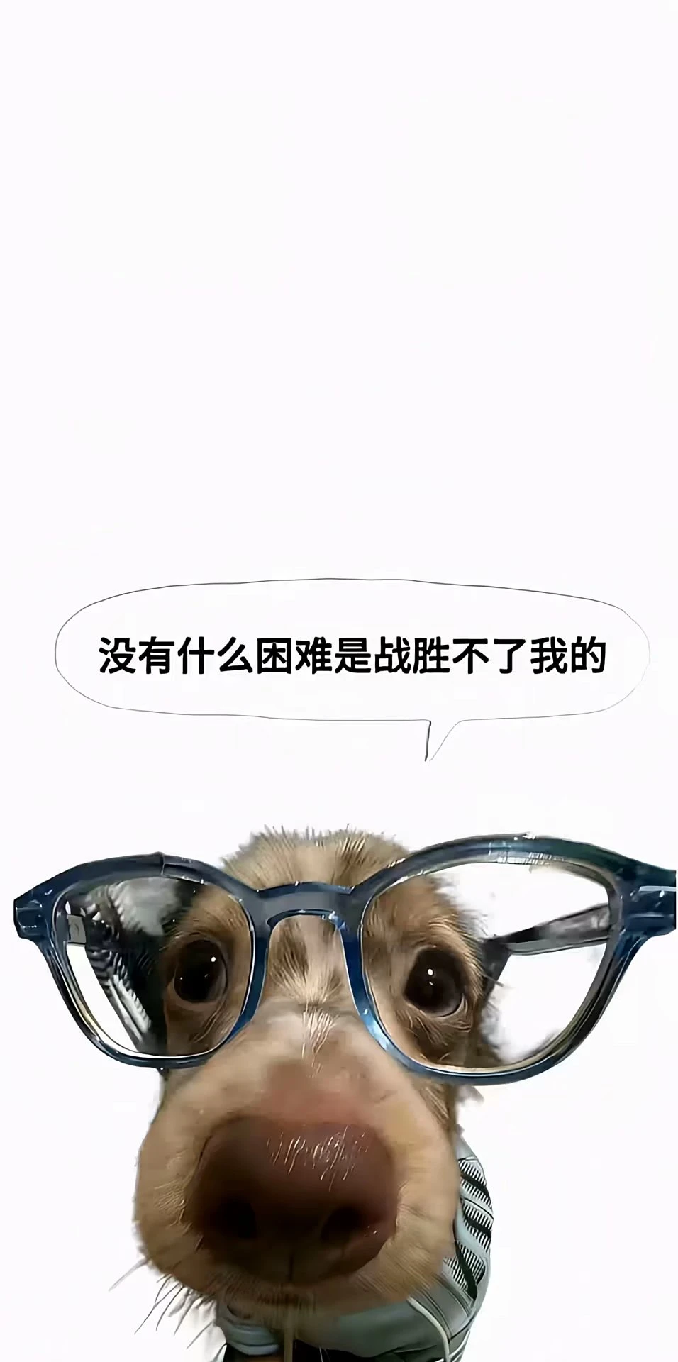 很难不 Love的壁纸